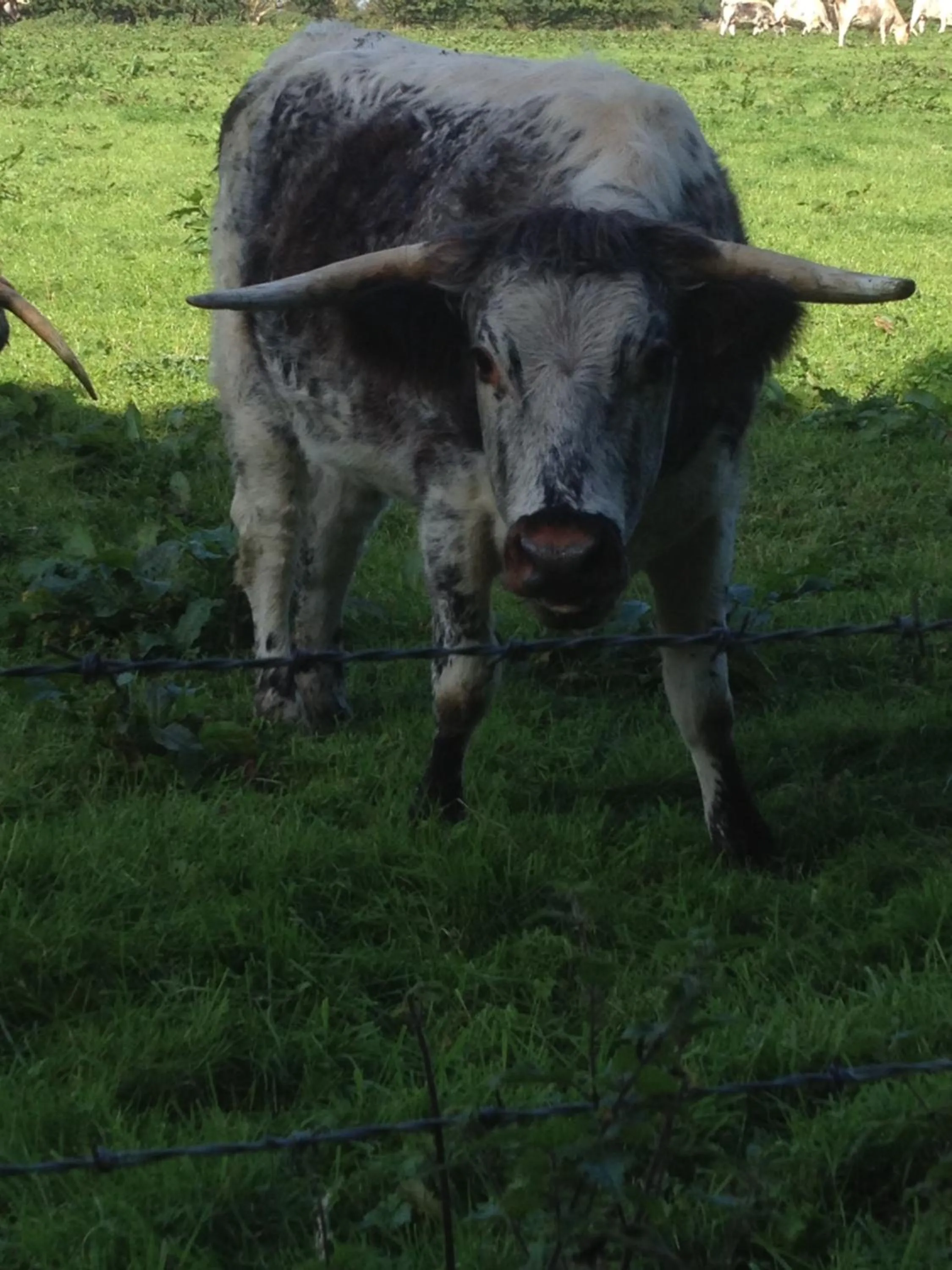 Slayleigh B&B, Matlock