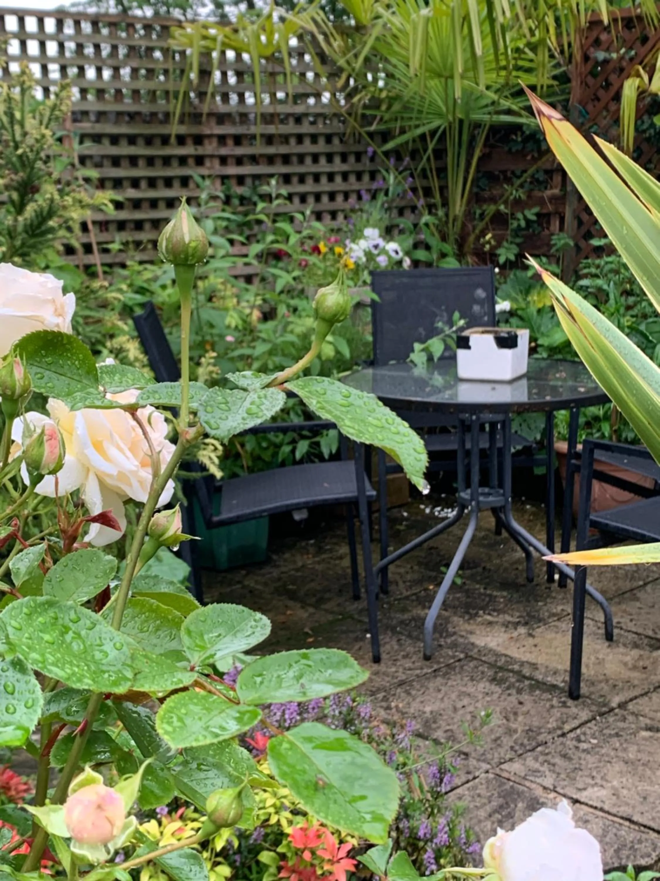 Slayleigh B&B, Matlock