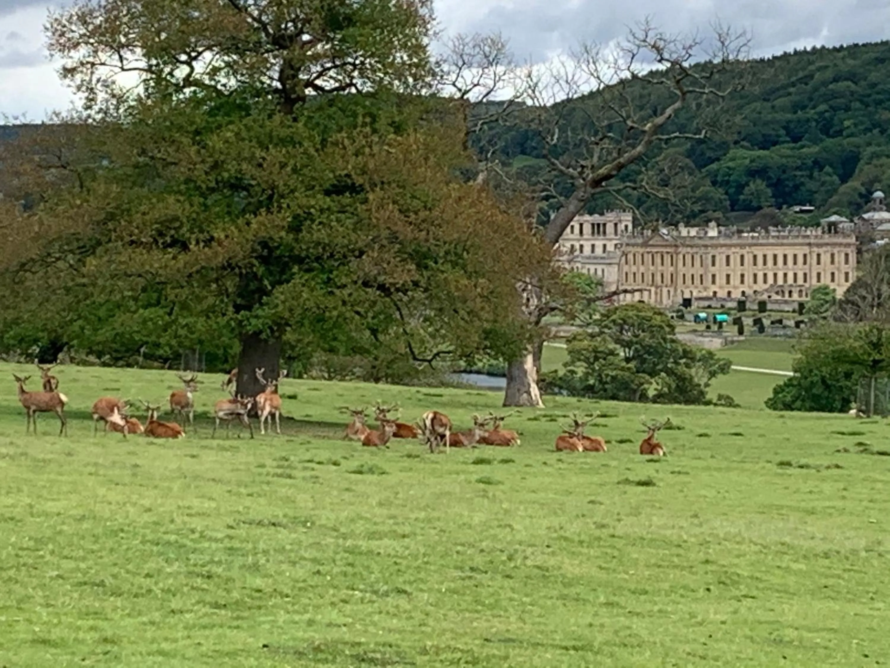 Slayleigh B&B, Matlock