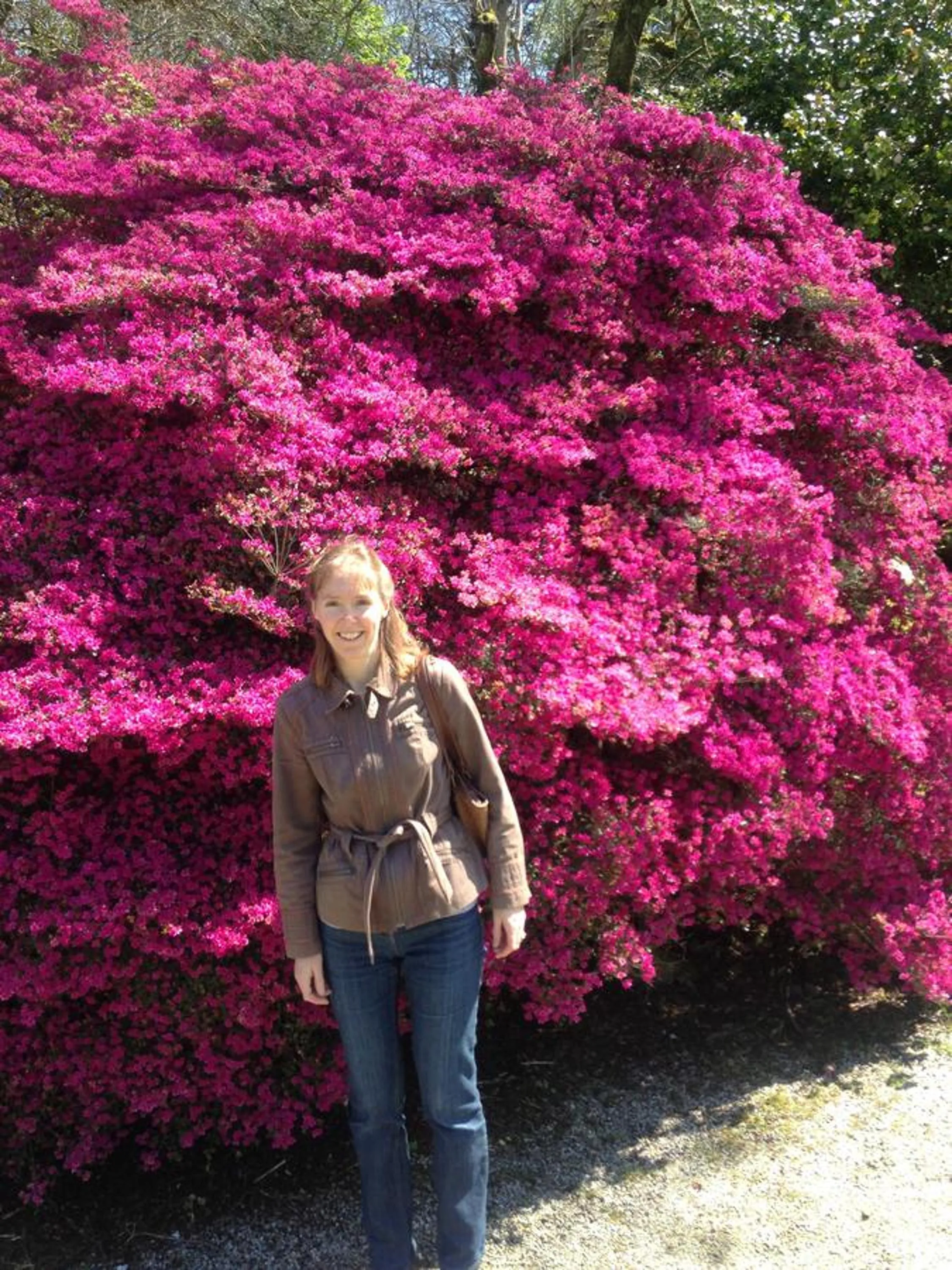 Nearby landmark in Trecorme Barton