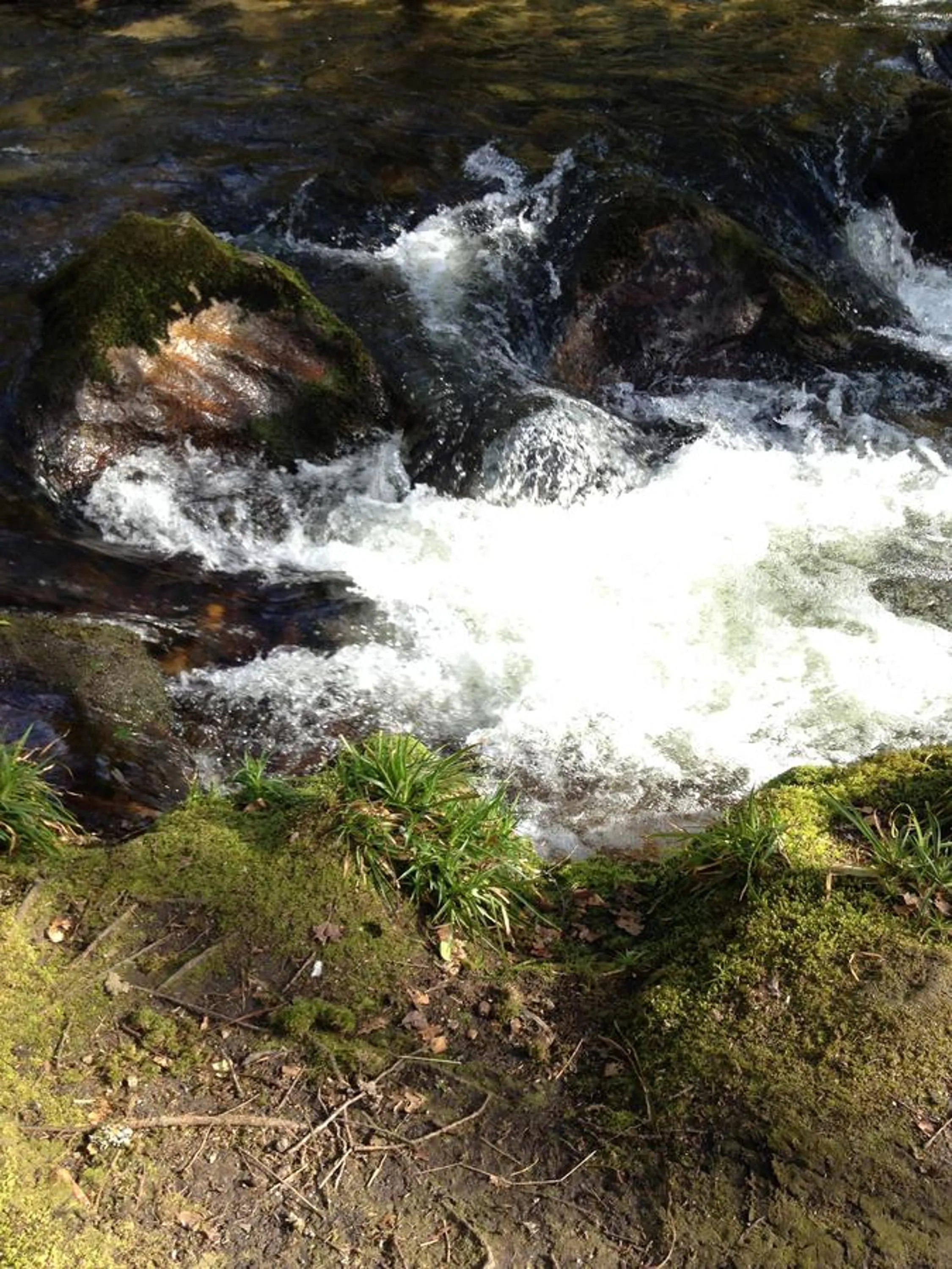 Natural landscape in Trecorme Barton
