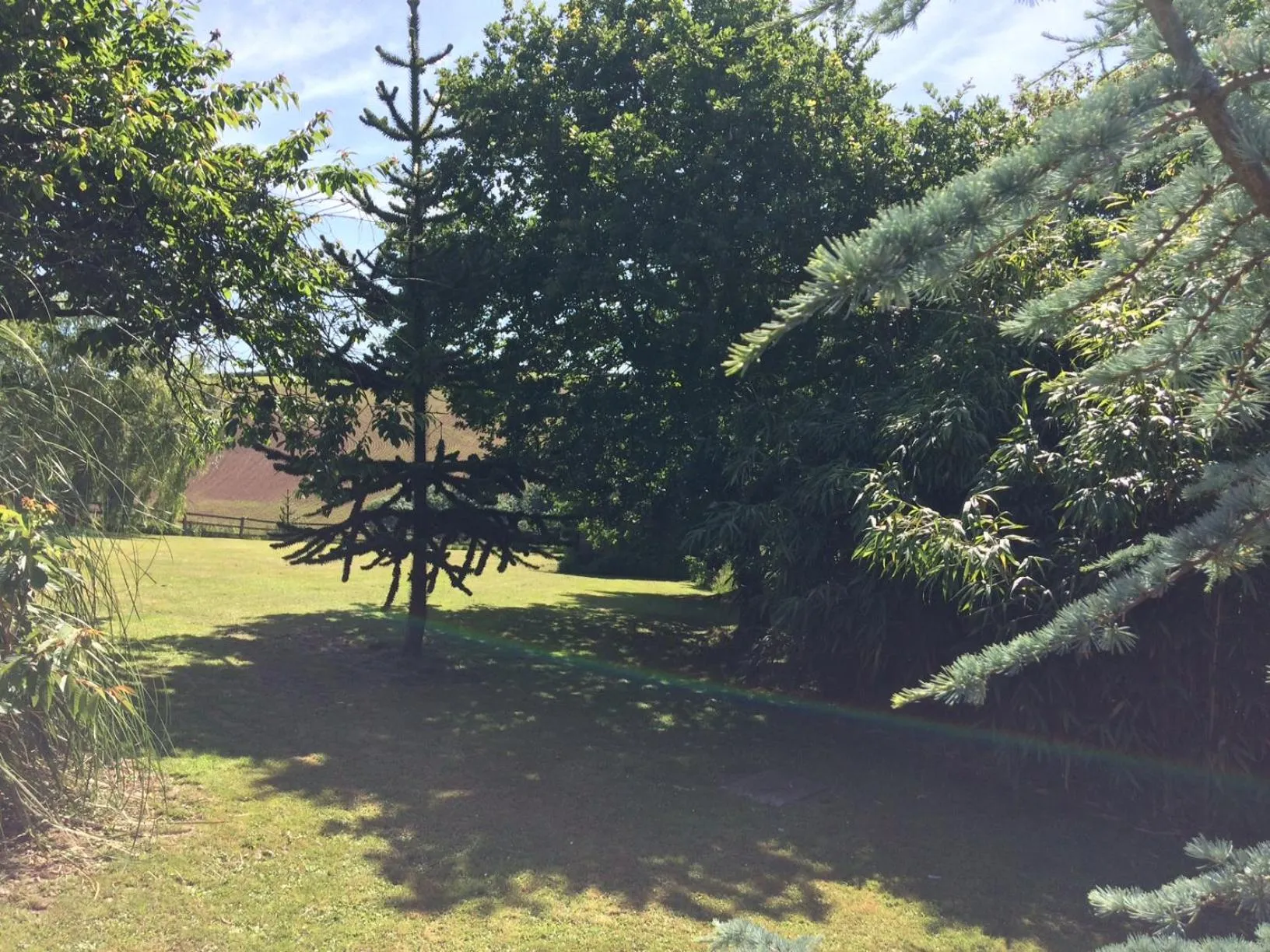 Garden in Trecorme Barton