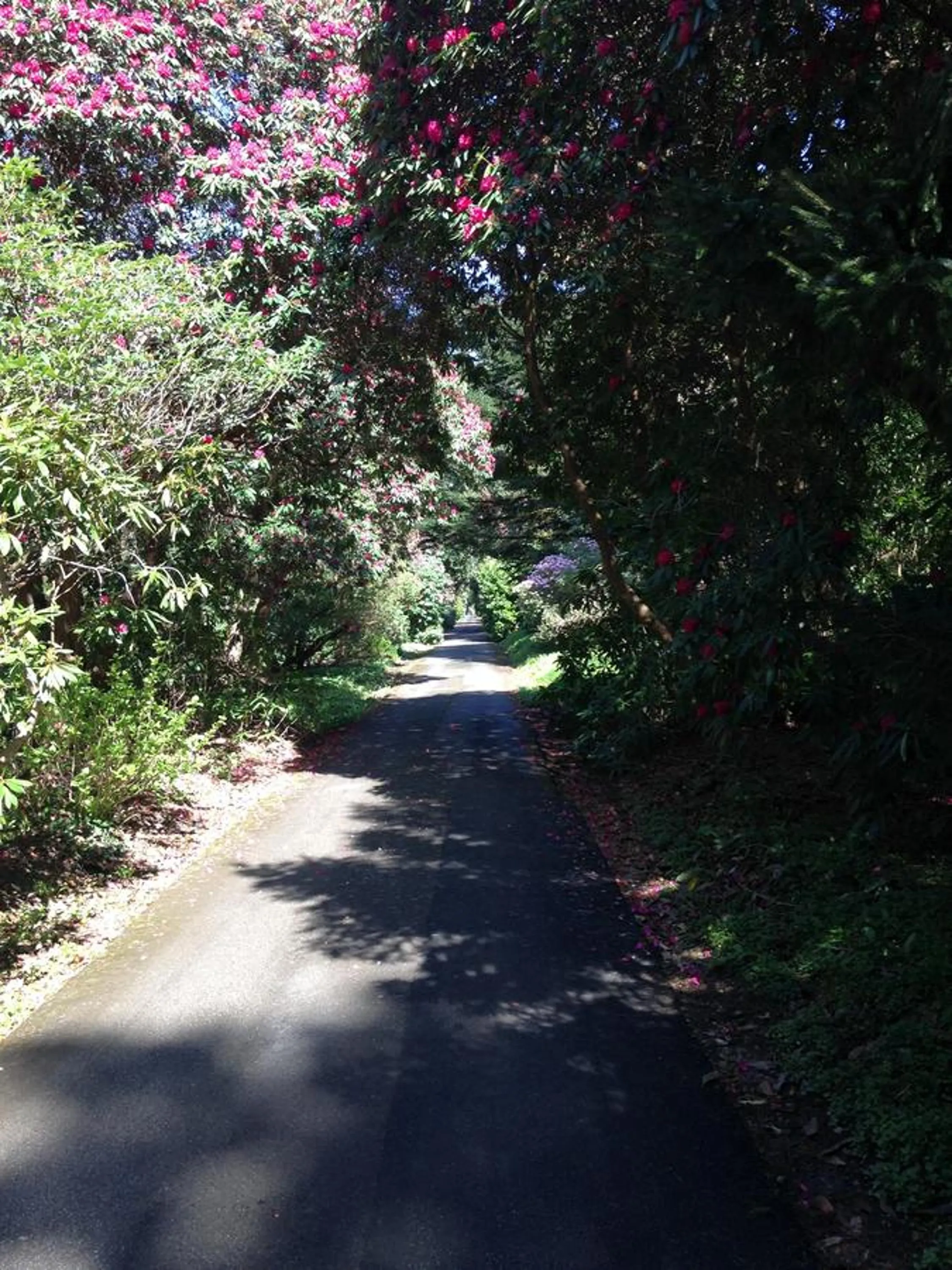 Natural landscape in Trecorme Barton