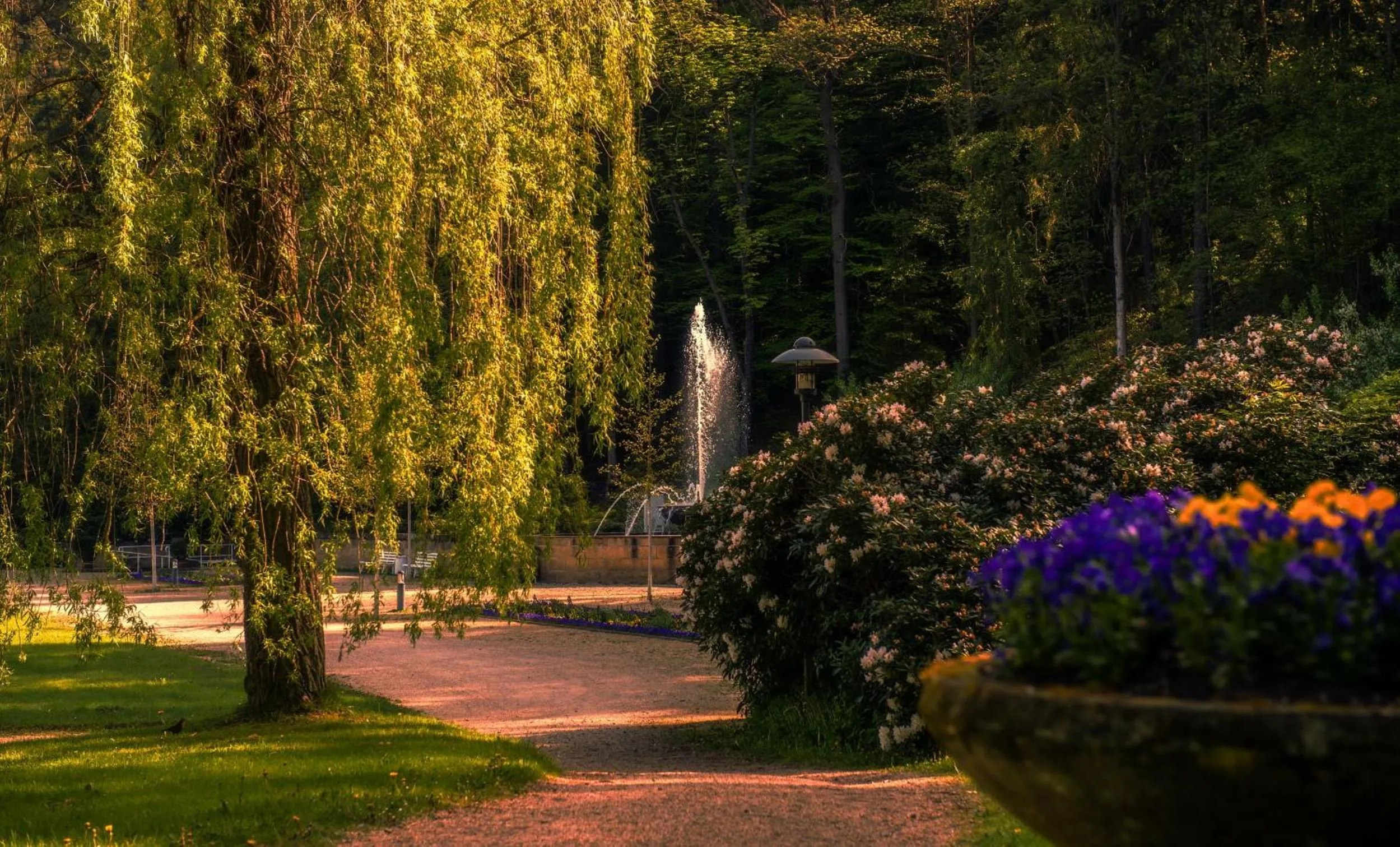 Hiking in Hotel König Albert