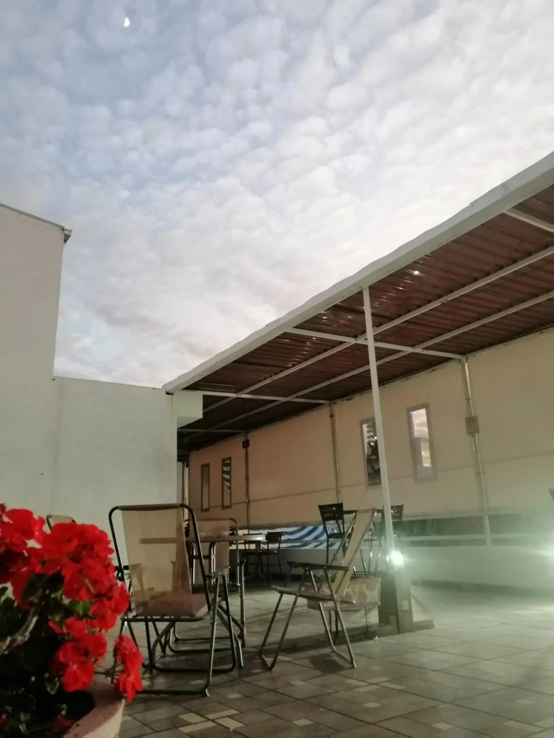 Balcony/Terrace in Hostal Maple