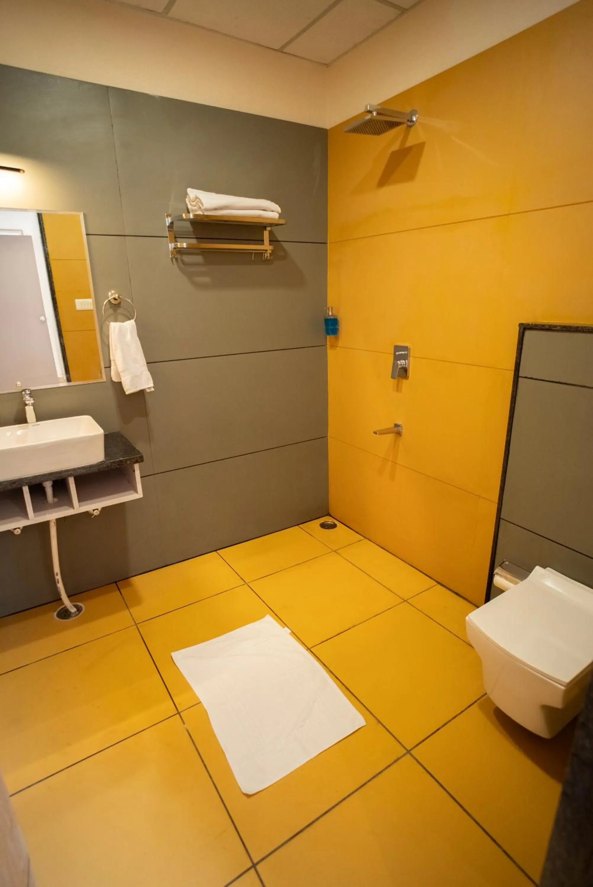 Bathroom in The White Roots Hotel