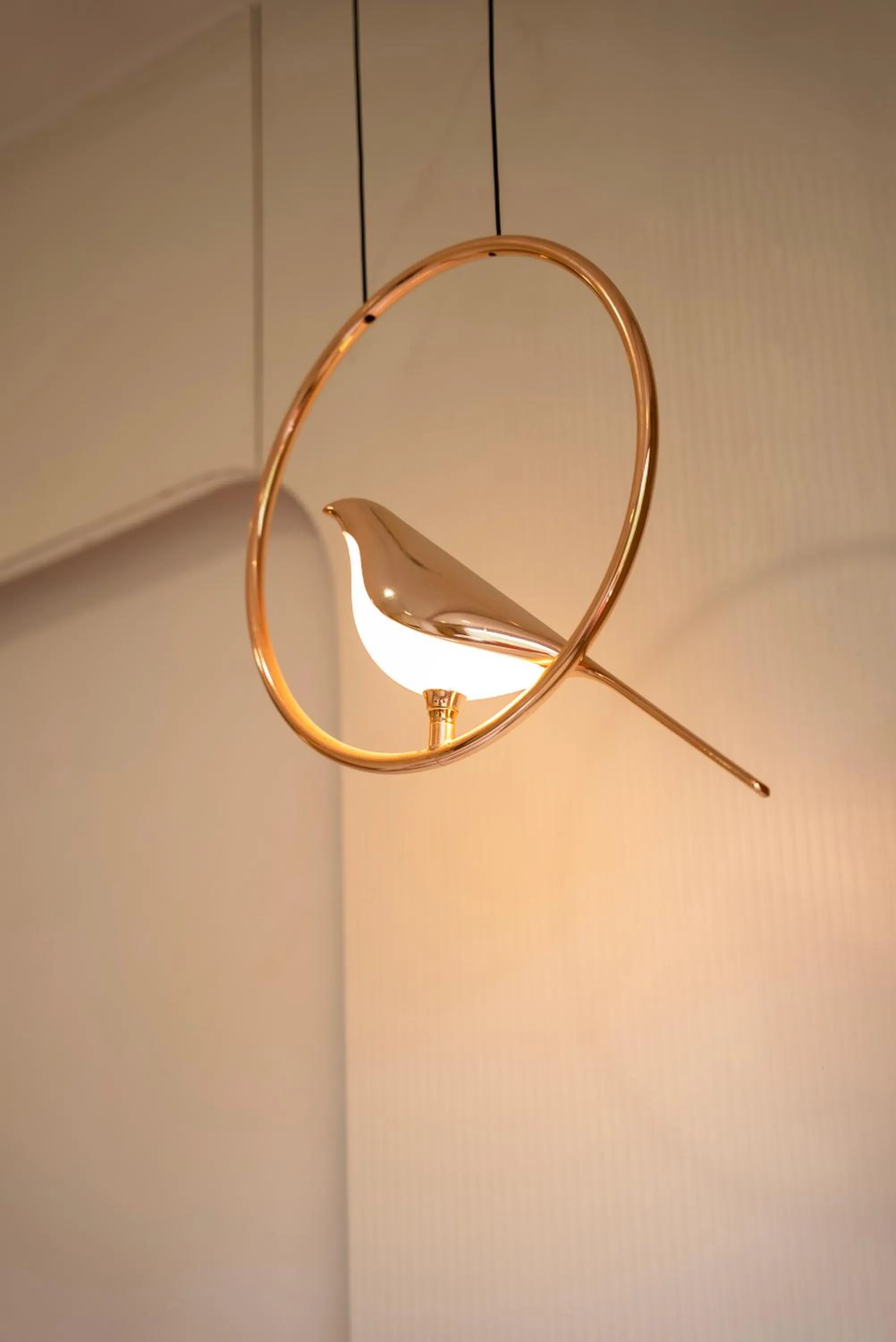 Other in The White Roots Hotel