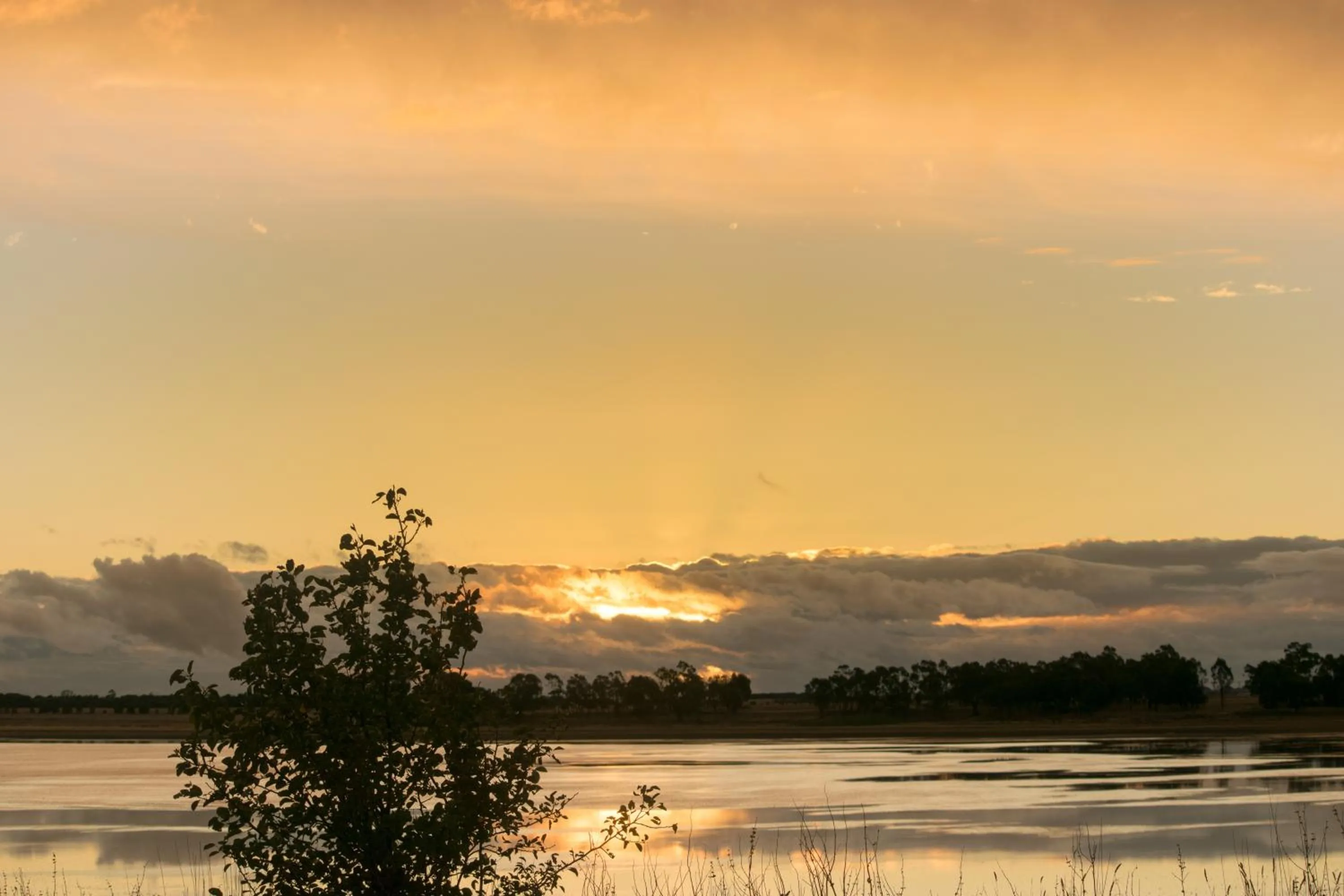 Activities in Lake Bolac Motel