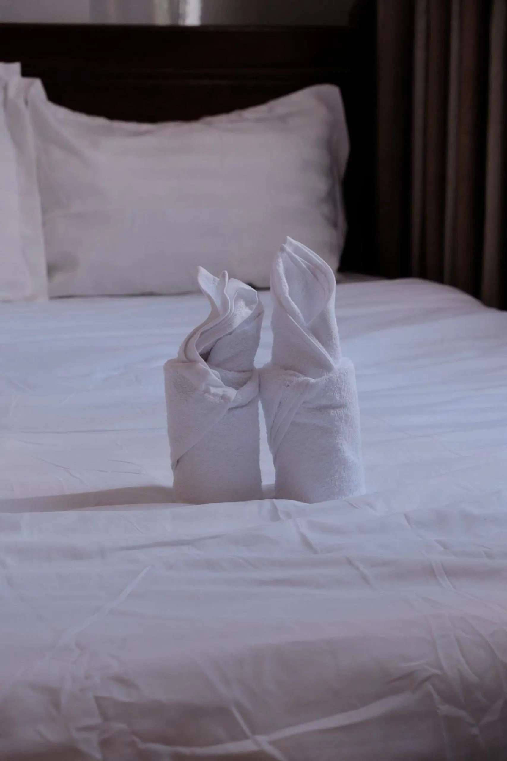 Bed in SH Hotel & Motorbikes For Rent