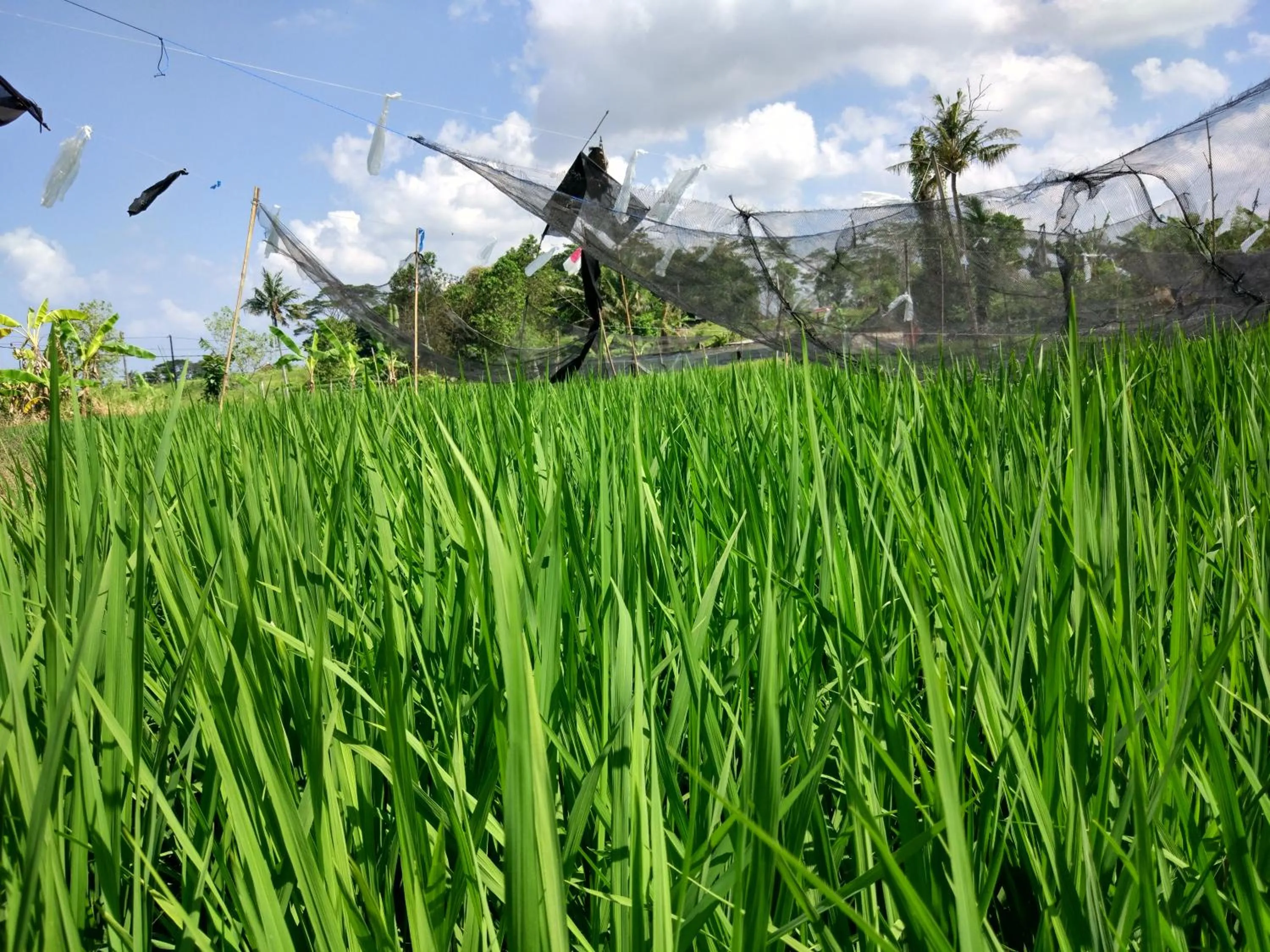 Nearby landmark in Sunari Guest House