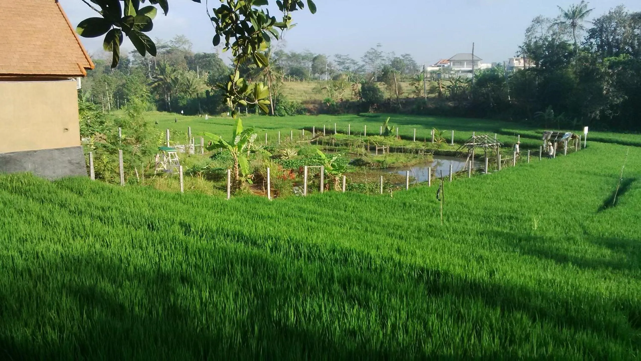 Property building in Sunari Guest House