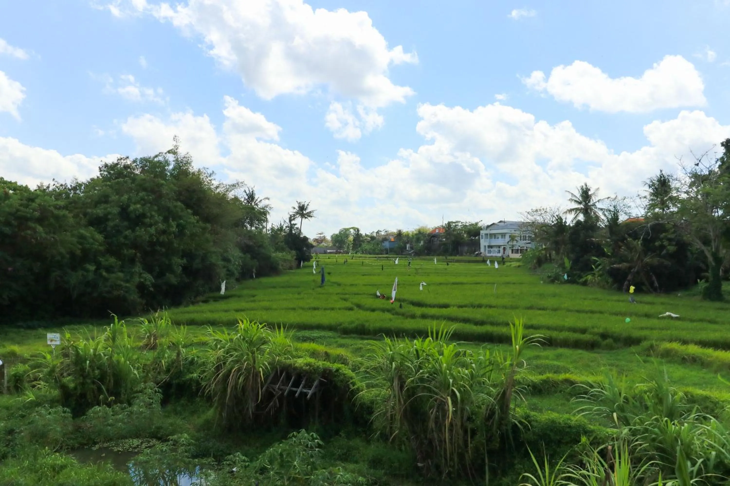 Nearby landmark in Sunari Guest House