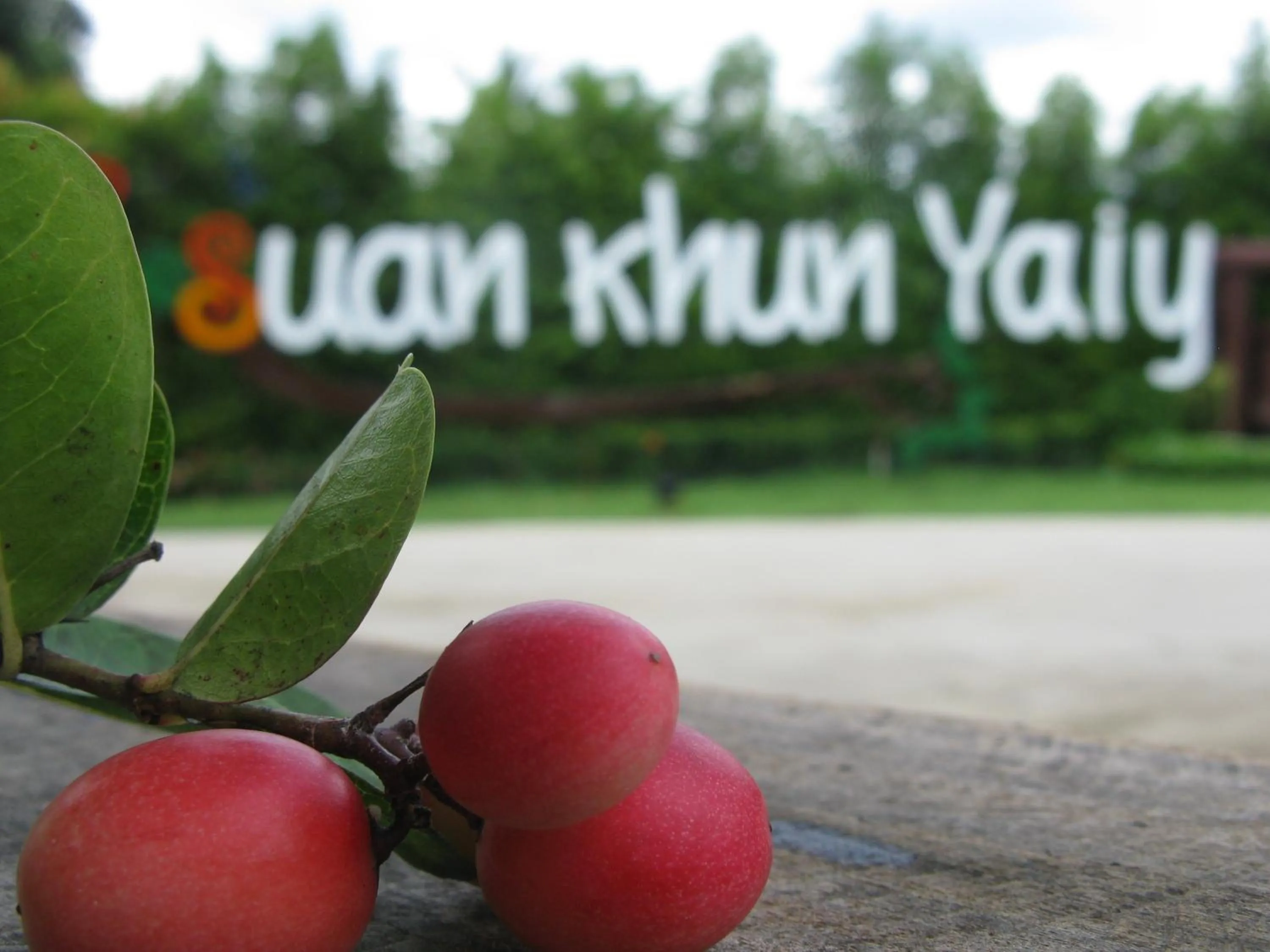 Other in Baan Suan Khun Yaiy