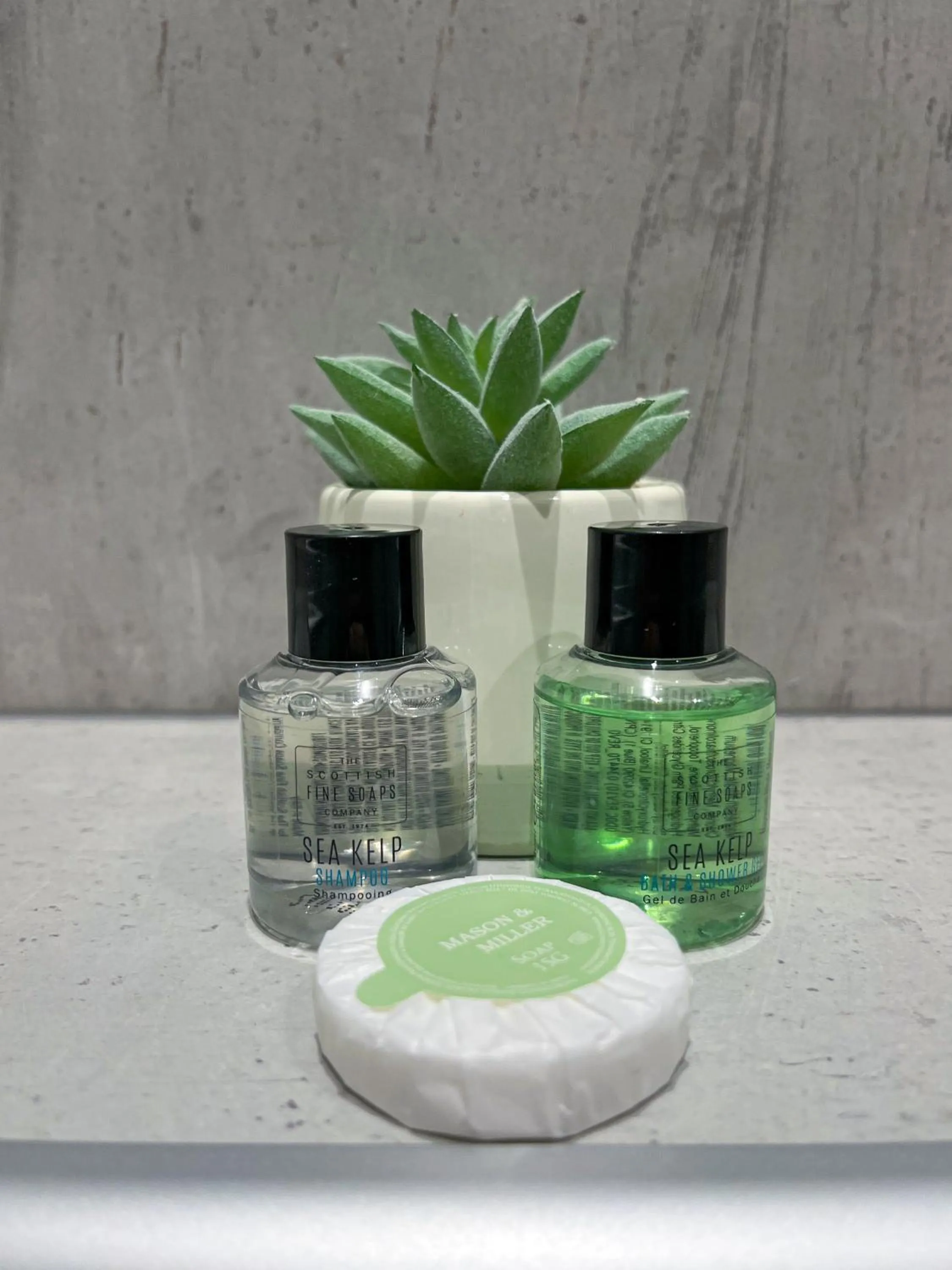 Shower in Crown and Anchor Inn