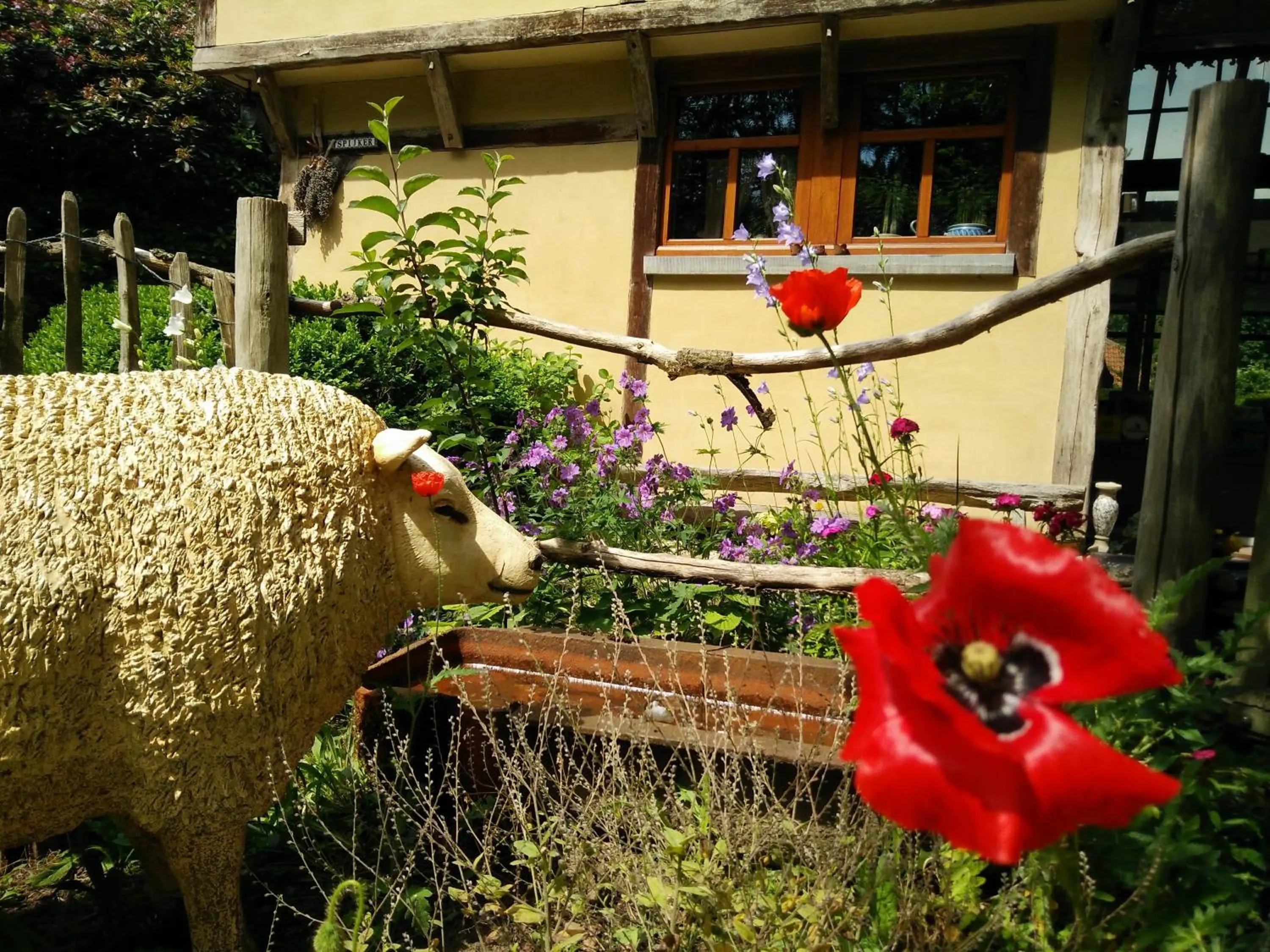 Facade/entrance in B&B Tspijker