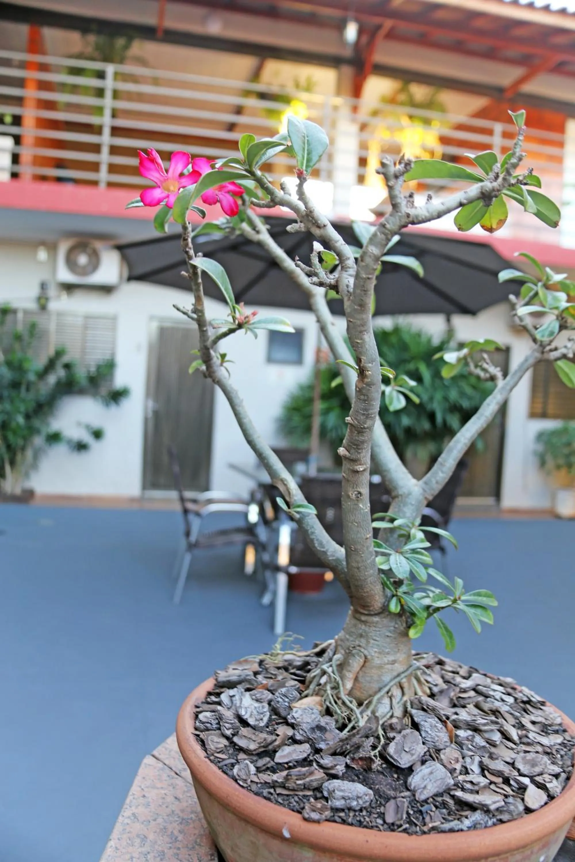 Pousada Recanto da Morada