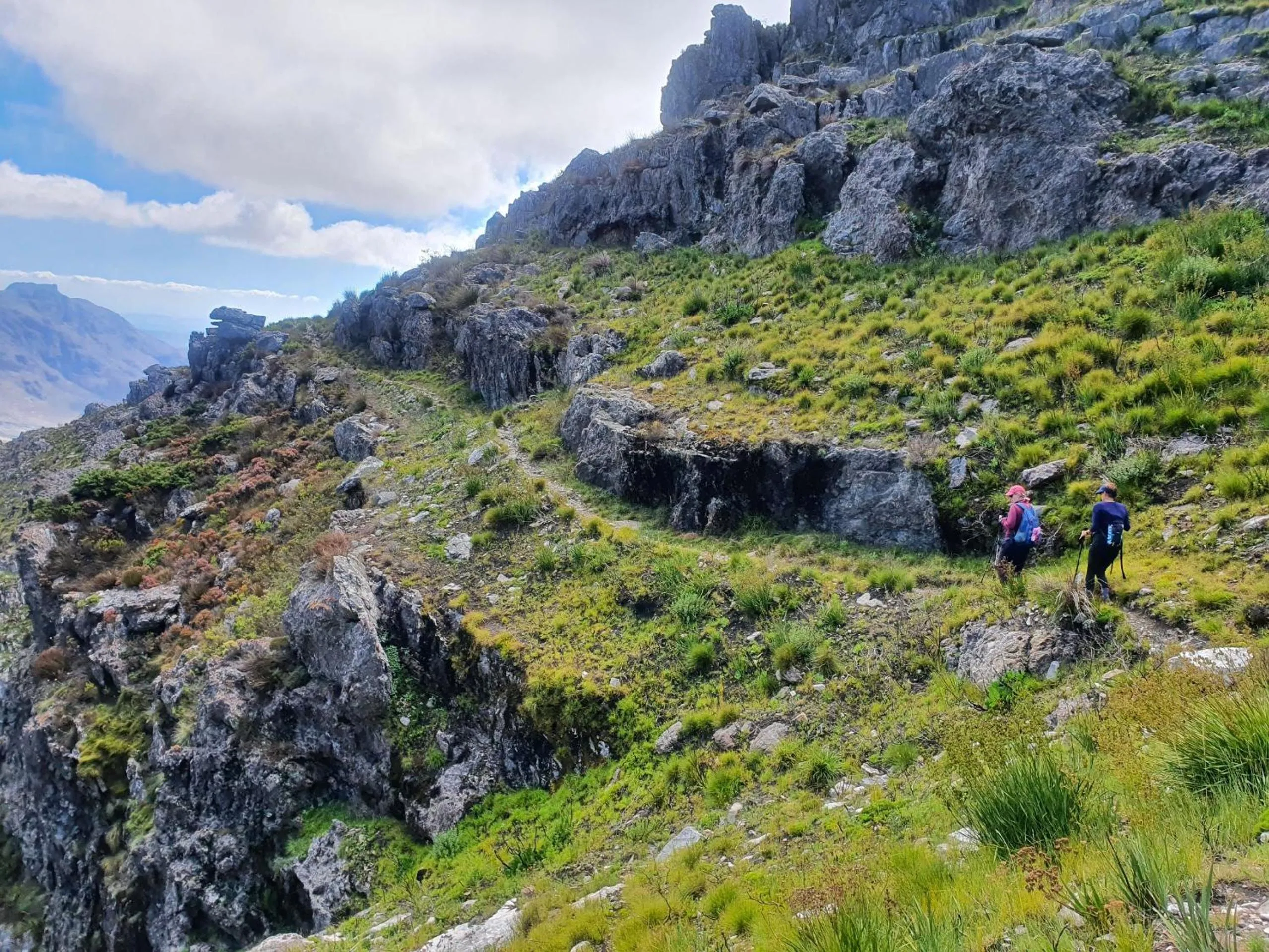 Natural landscape in Le Petit Bijou