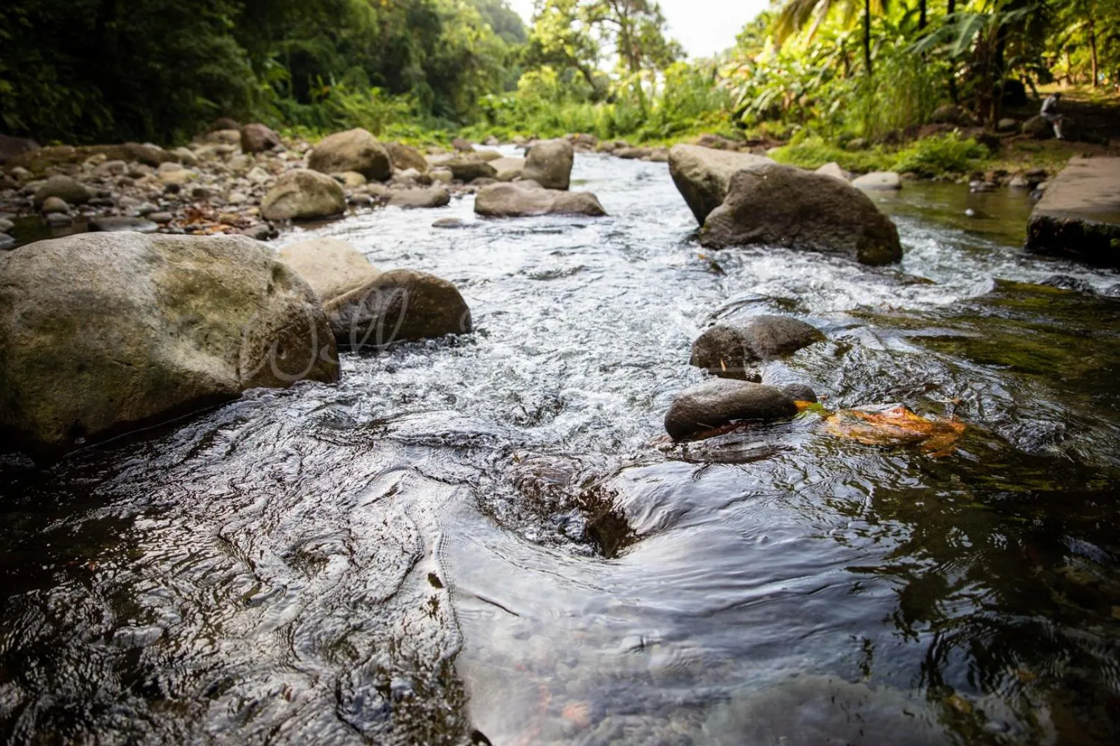 Natural landscape in Tante Arlette