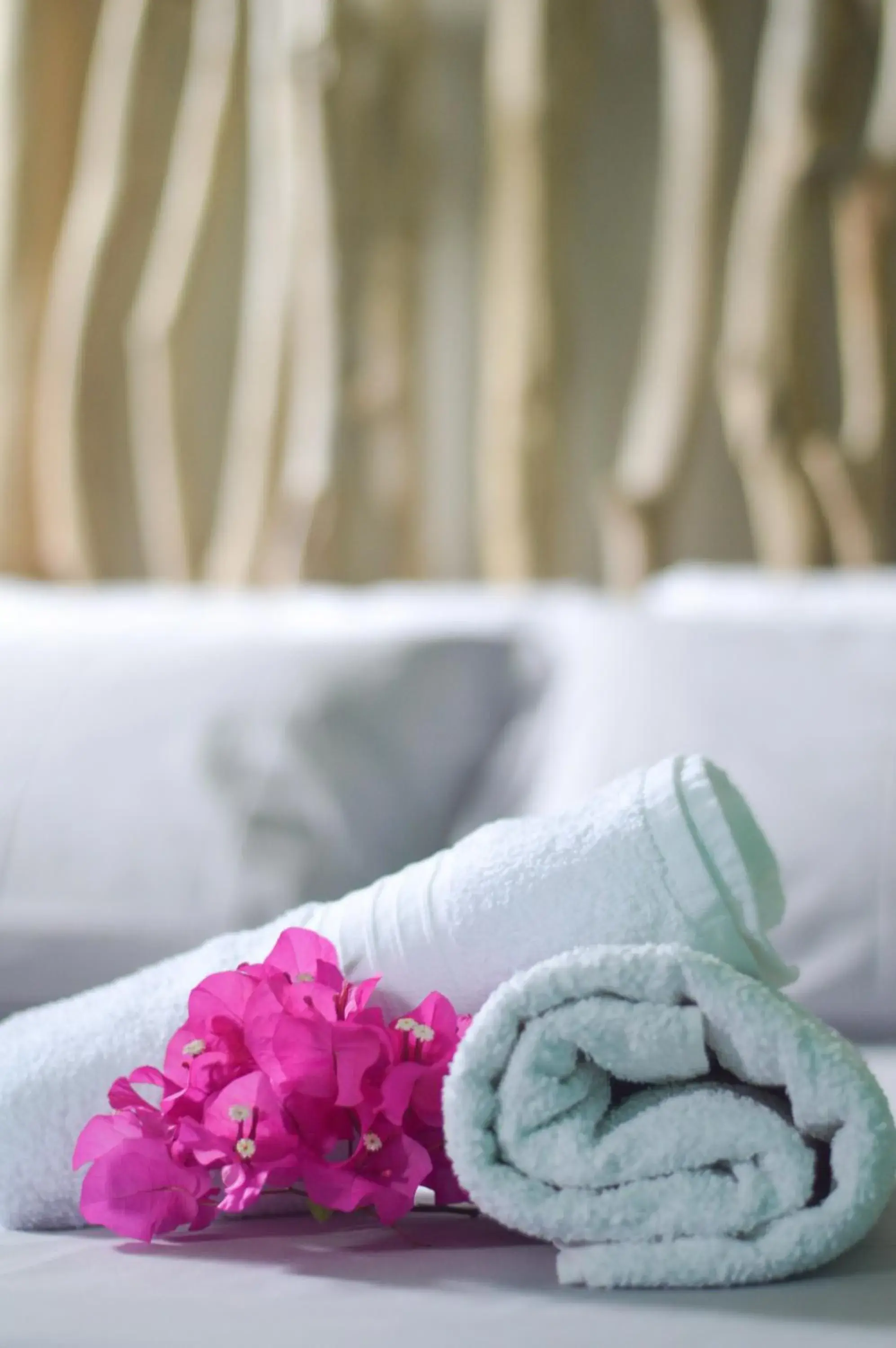 Tante Arlette Tante Arlette