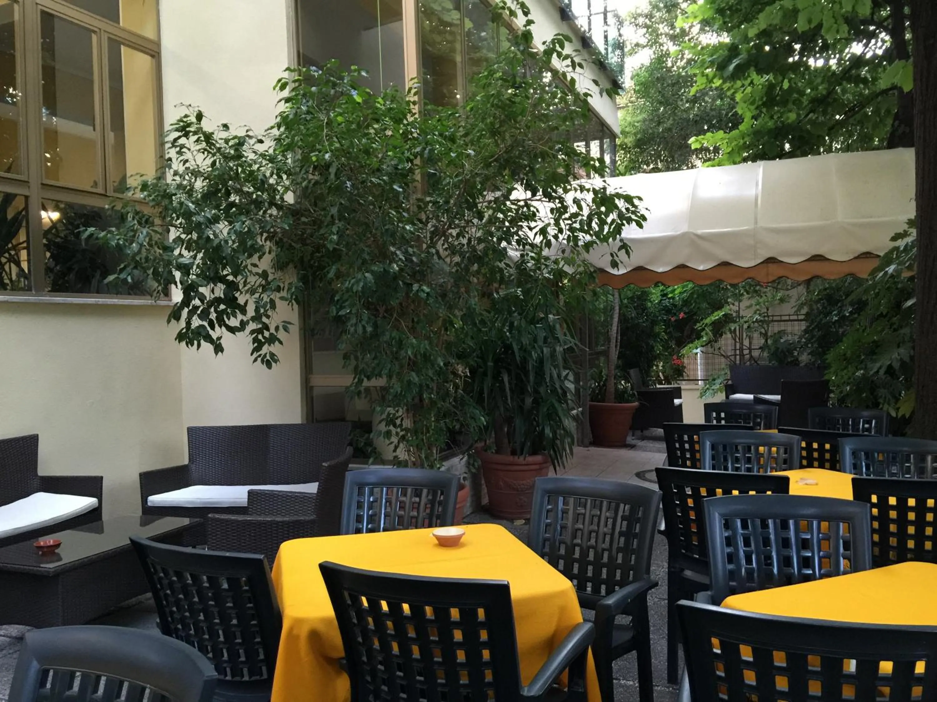 Lounge or bar in Hotel Athena