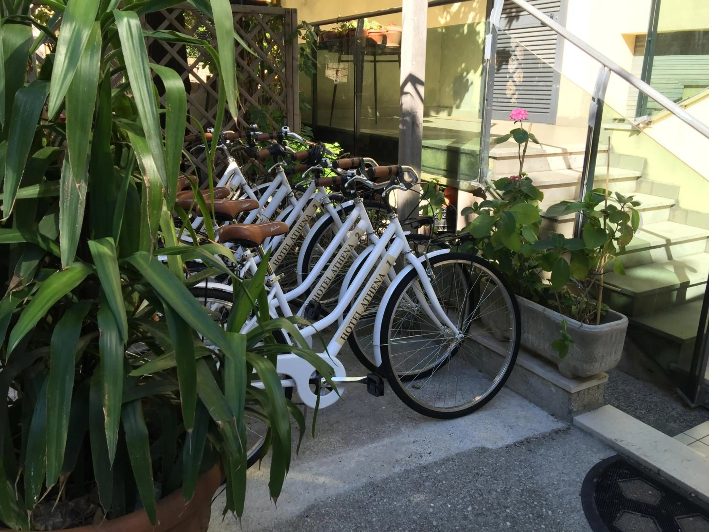 Other in Hotel Athena