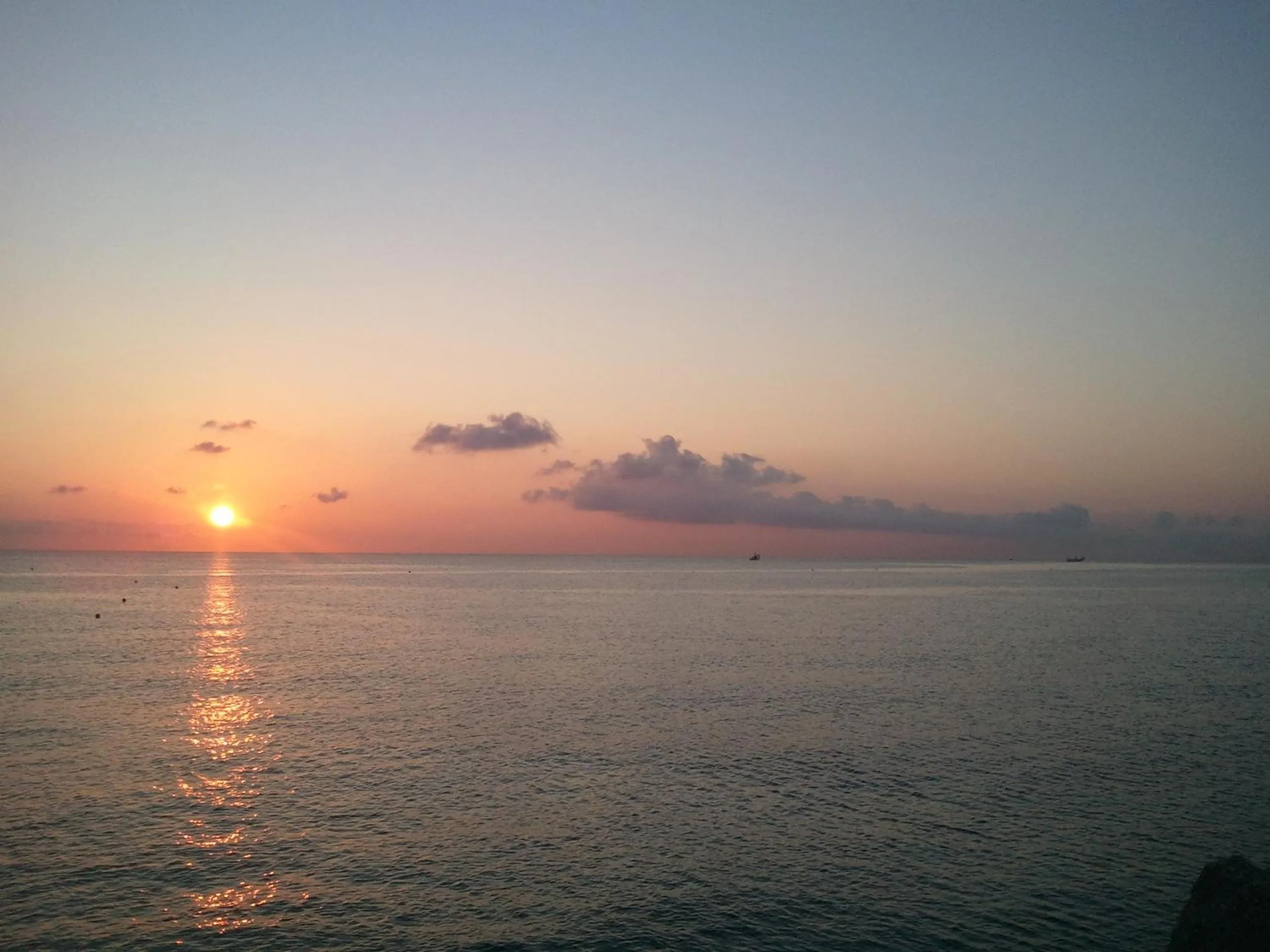 Natural landscape in Hotel Athena