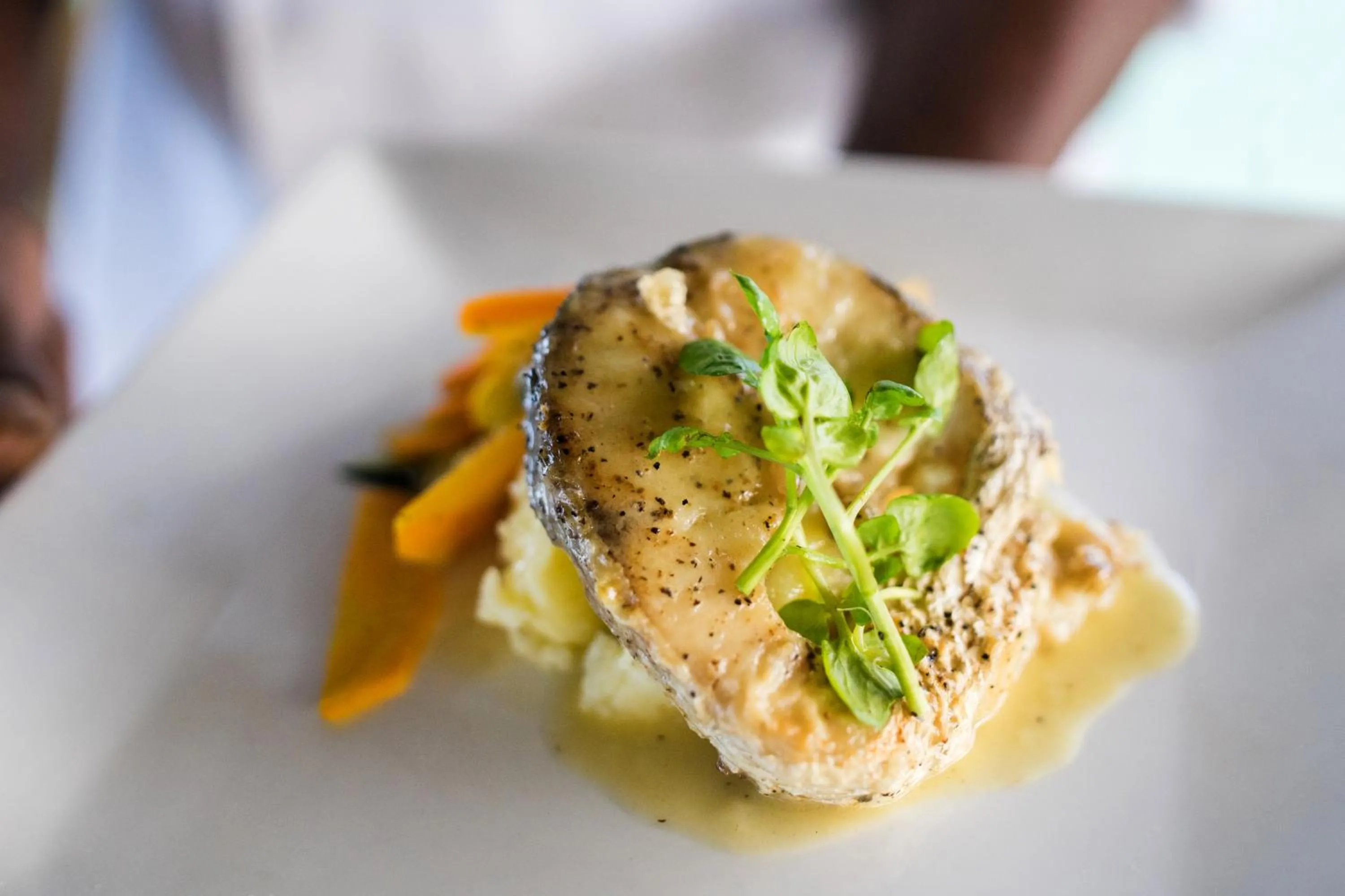 Food close-up in Luna Sea Inn