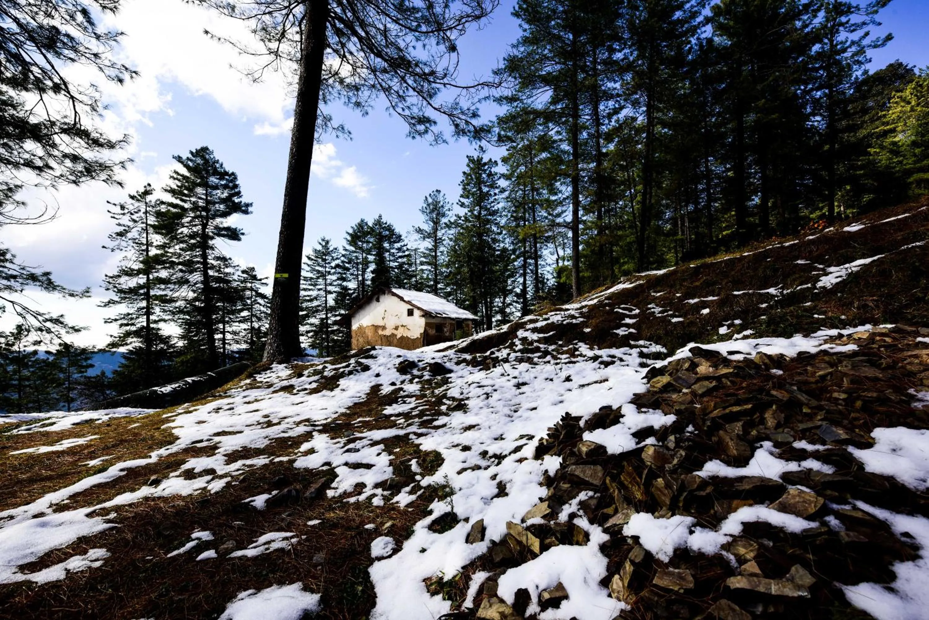 Natural landscape in Zostel Homes Mashobra (Shimla)