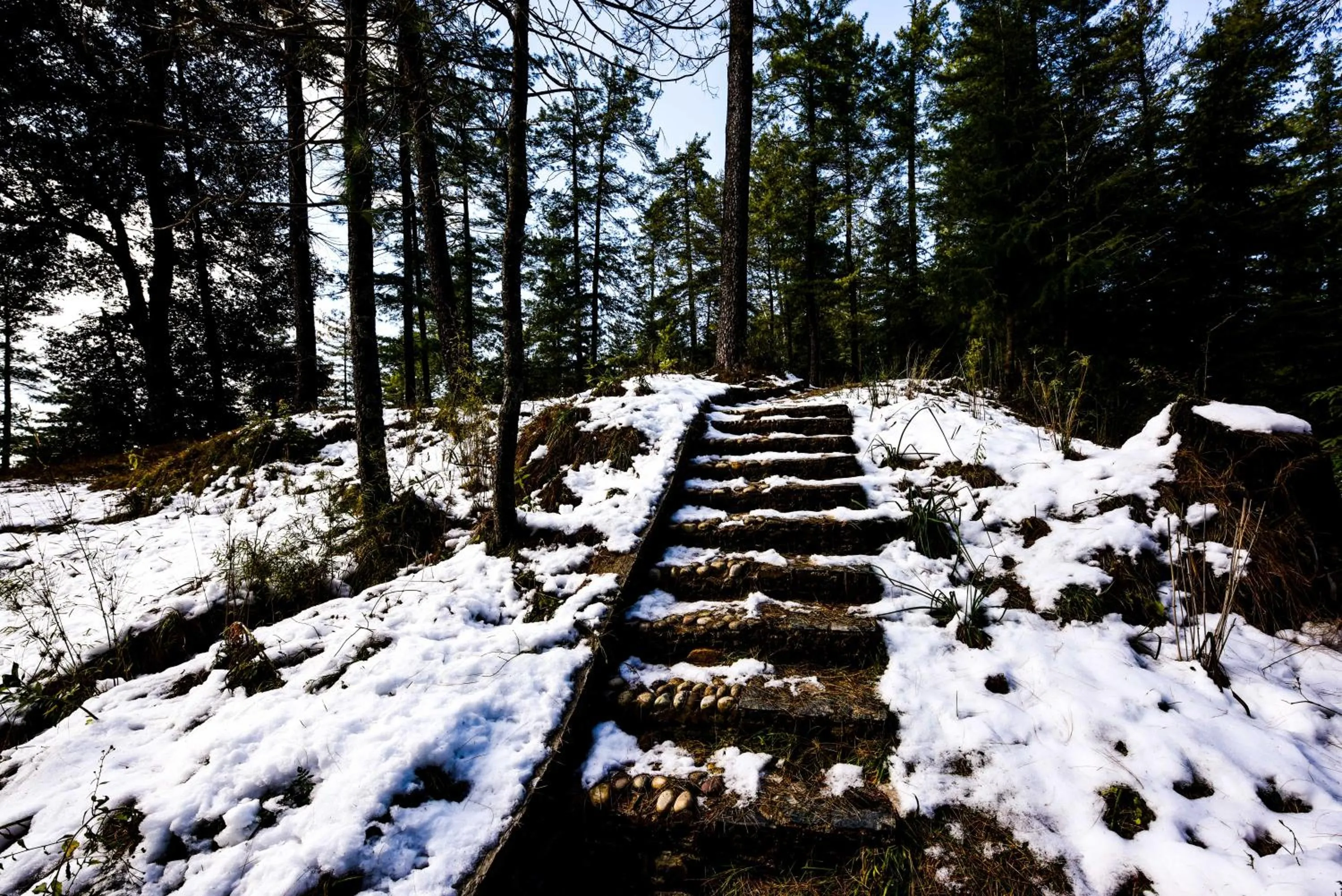 Natural landscape in Zostel Homes Mashobra (Shimla)