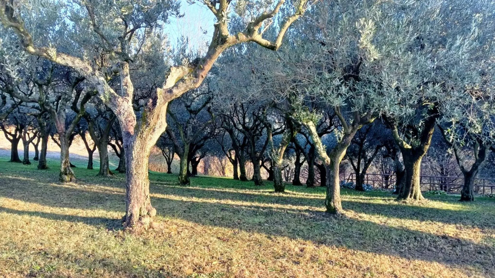Hiking in Il giuggiolo