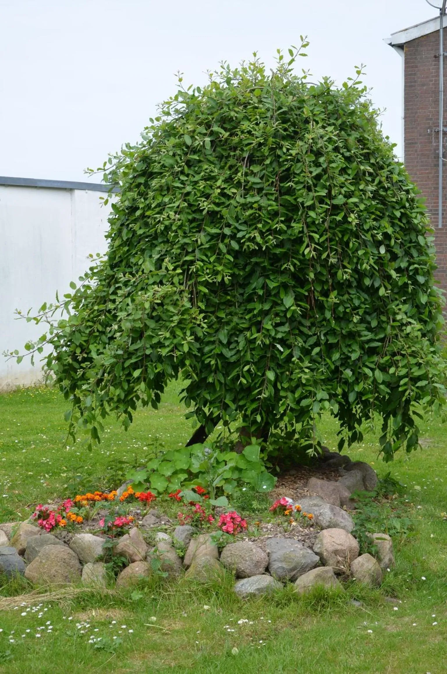 Garden view in Hotel & Ferienunterkünfte Hus Seeblick