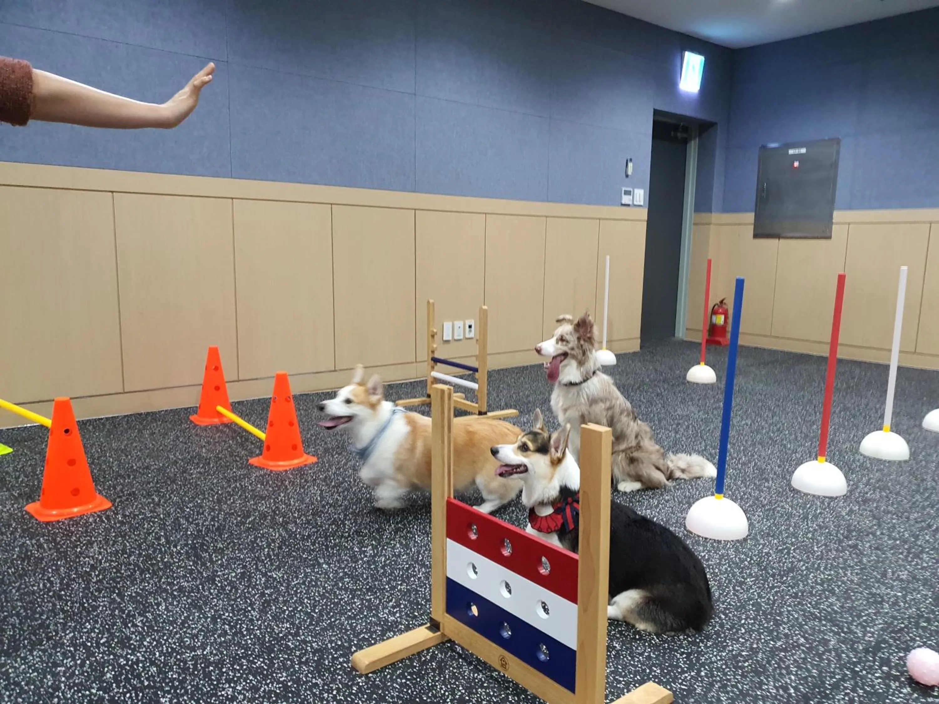 Property building in Hi Jeju Hotel