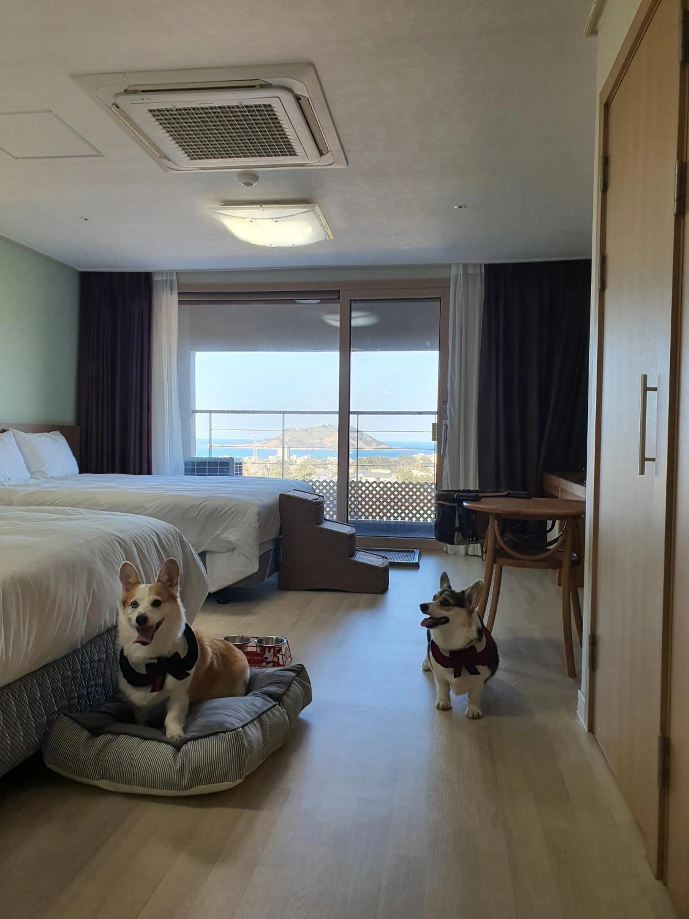 Bed in Hi Jeju Hotel