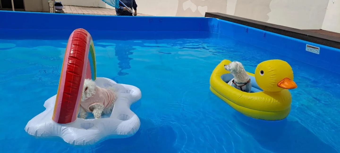 Swimming pool in Hi Jeju Hotel