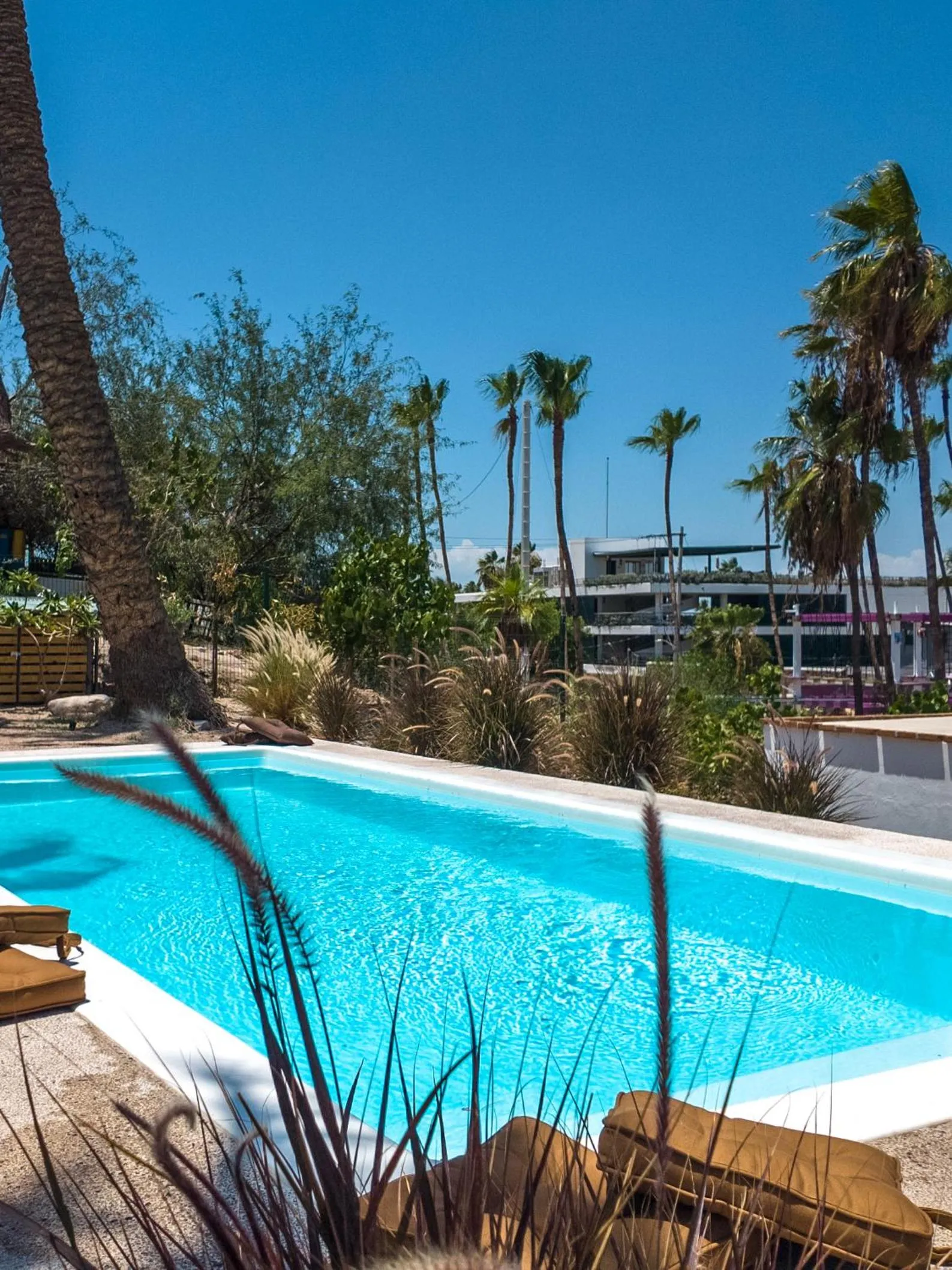 Day in InHouse Glamping Hotel La Paz