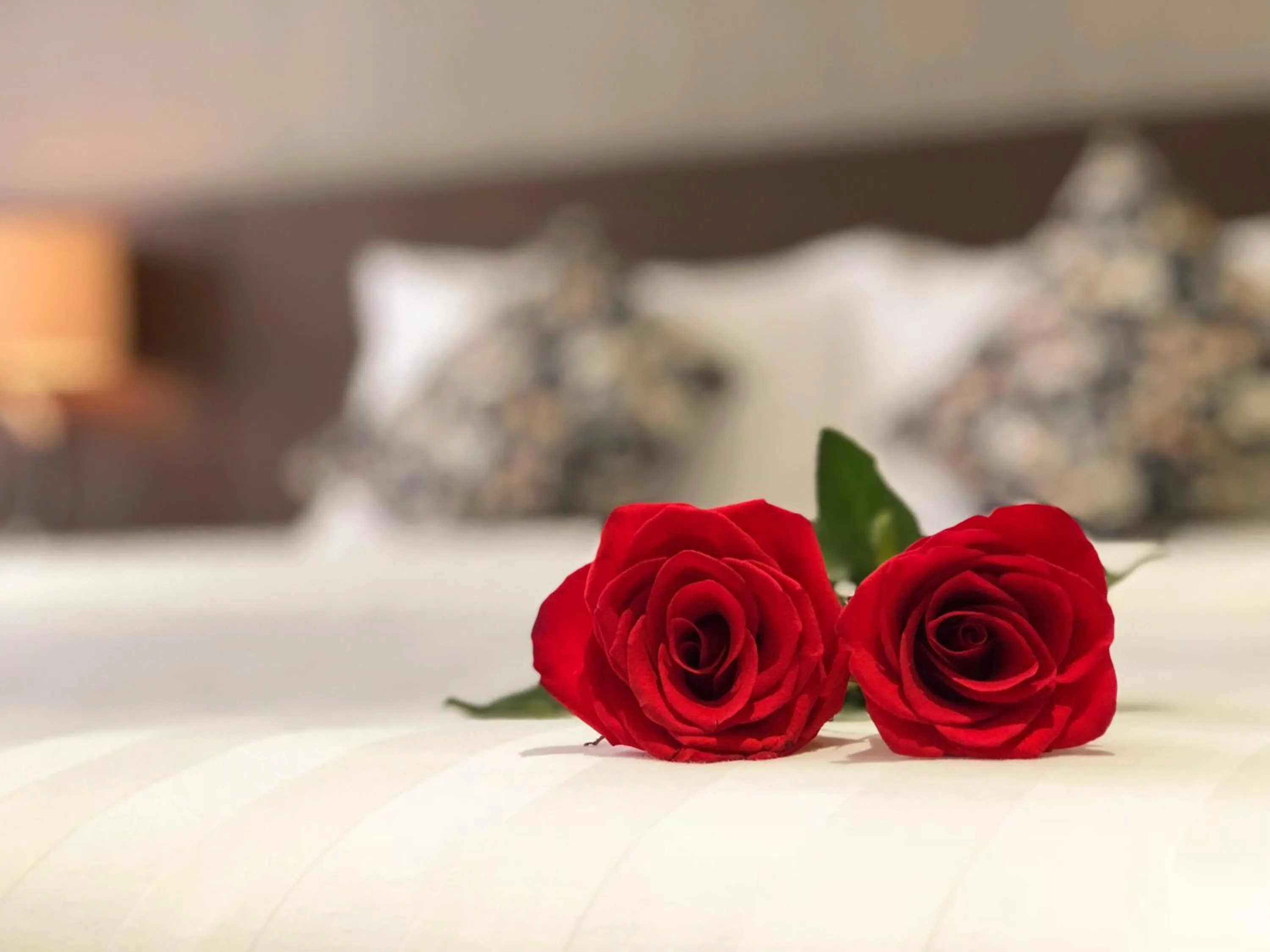 Area and facilities, Bed in Sunny Serviced Apartment