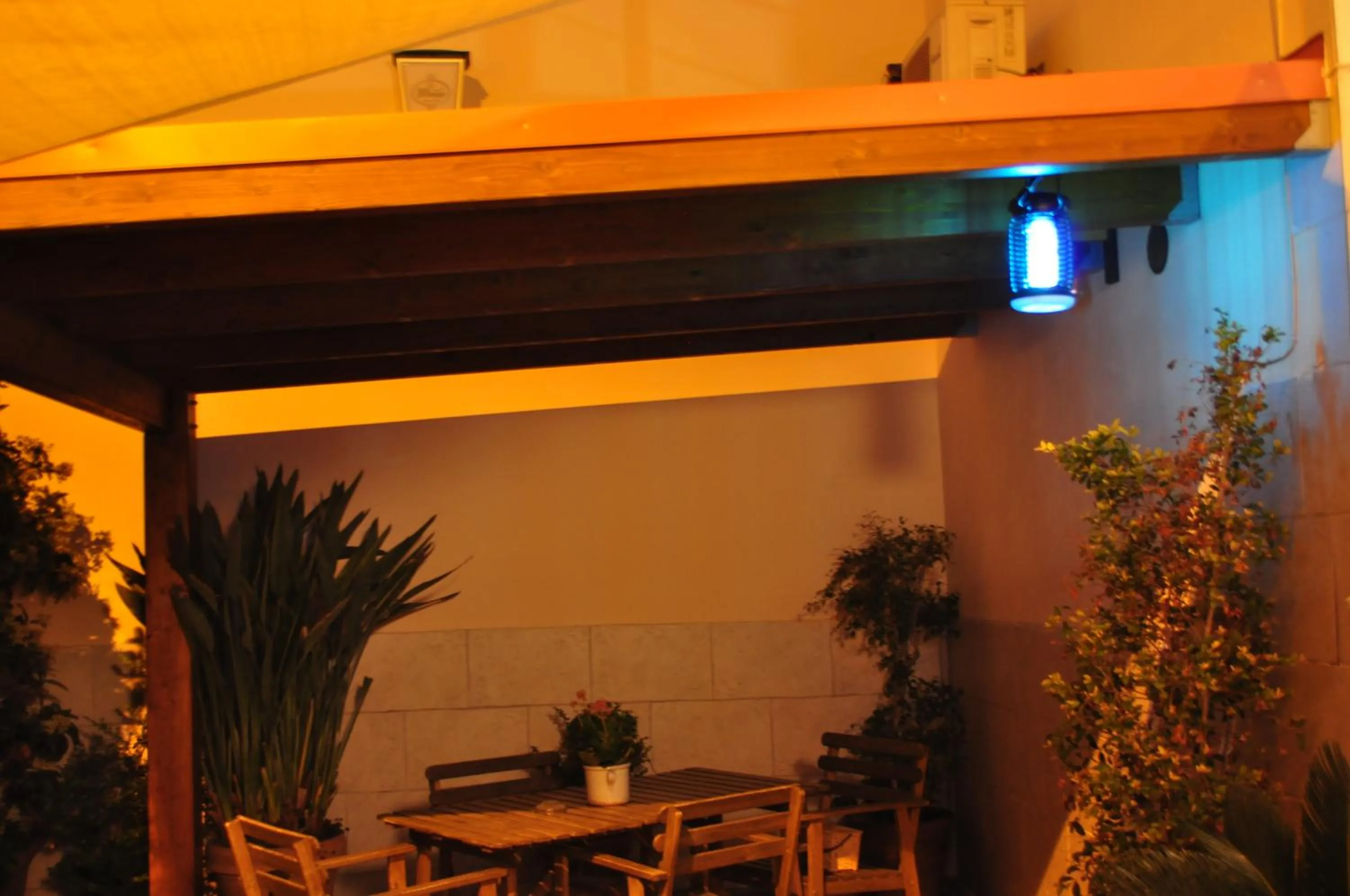 Garden in 7 Contrade