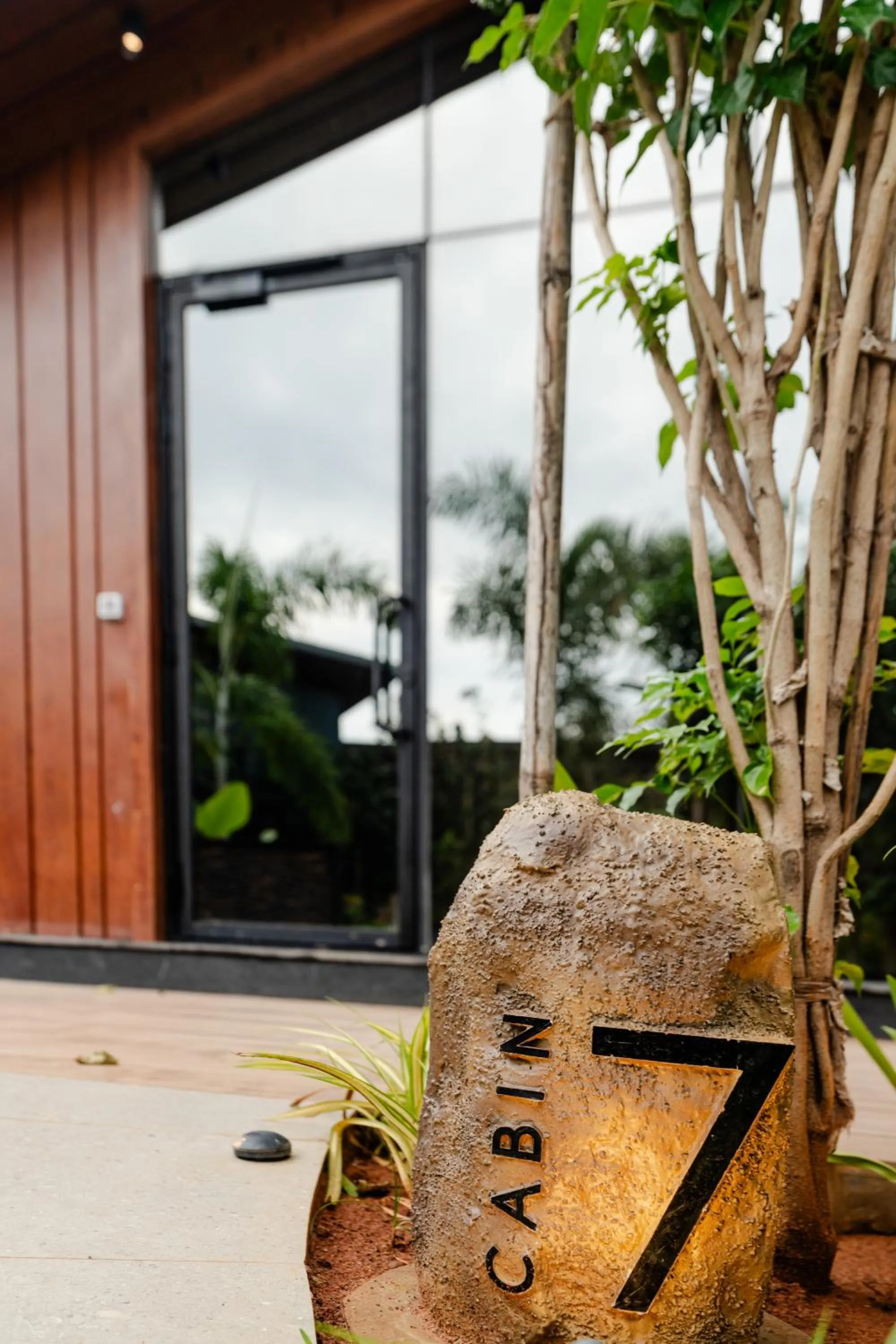 Garden view in Forrest