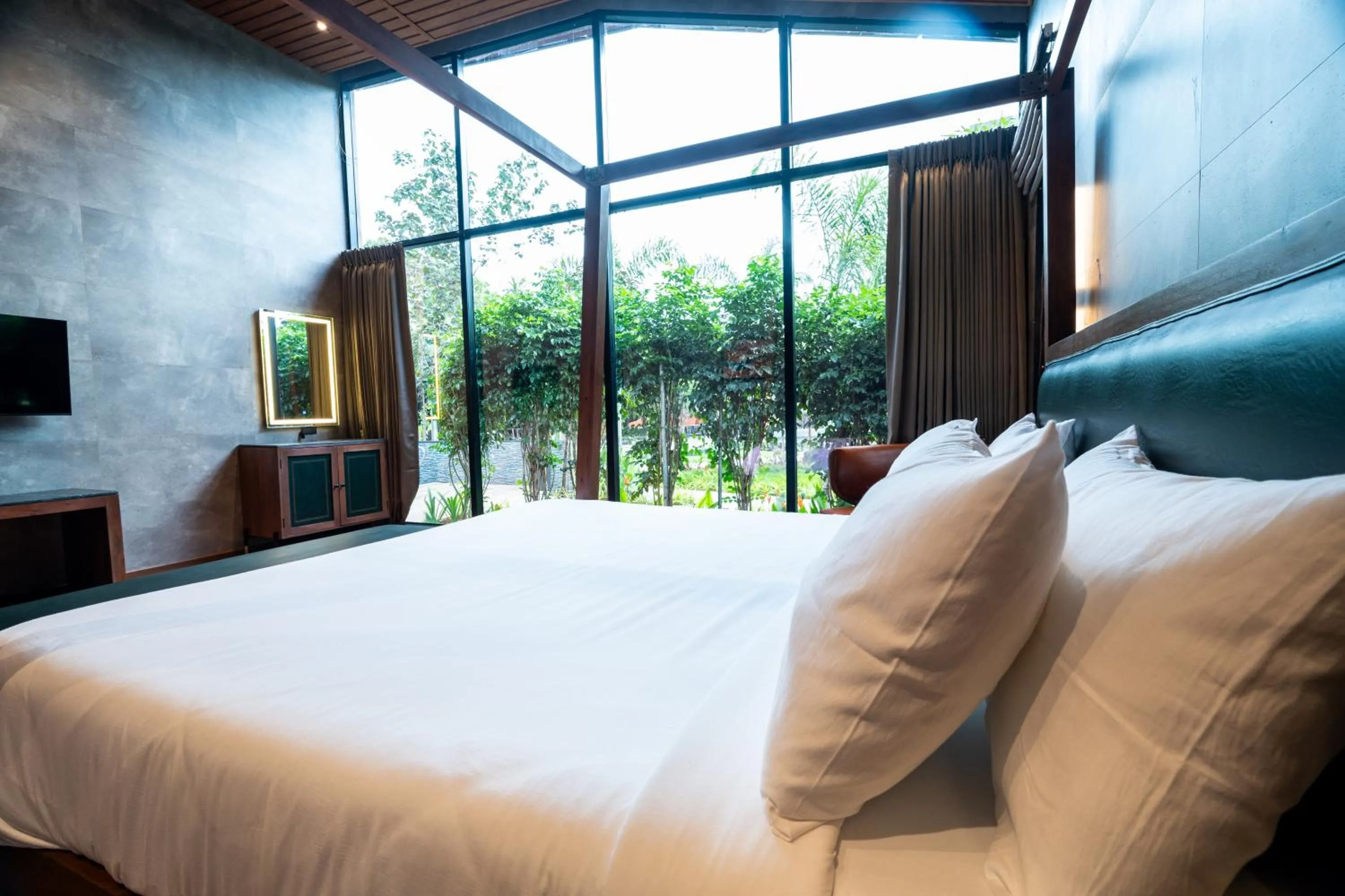 TV and multimedia, Bed in Forrest