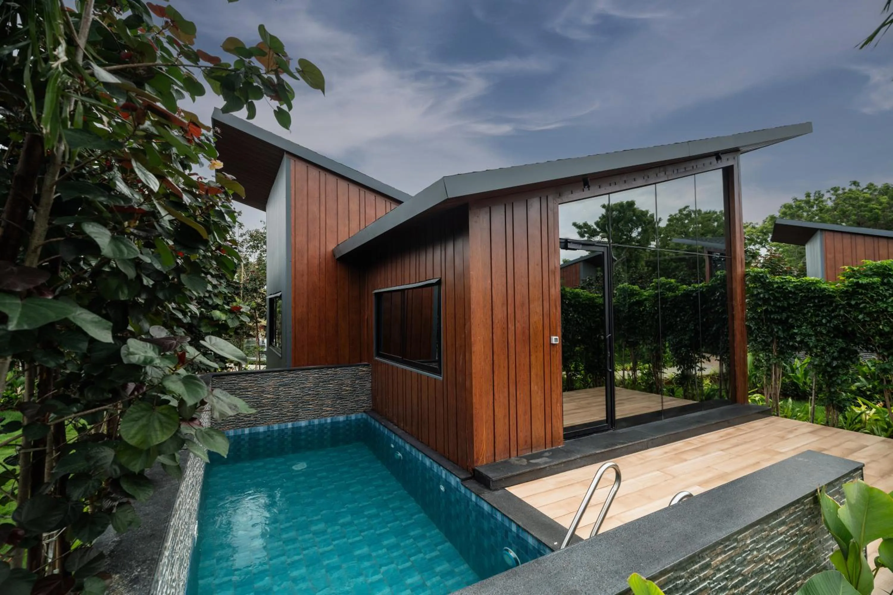 View (from property/room) in Forrest