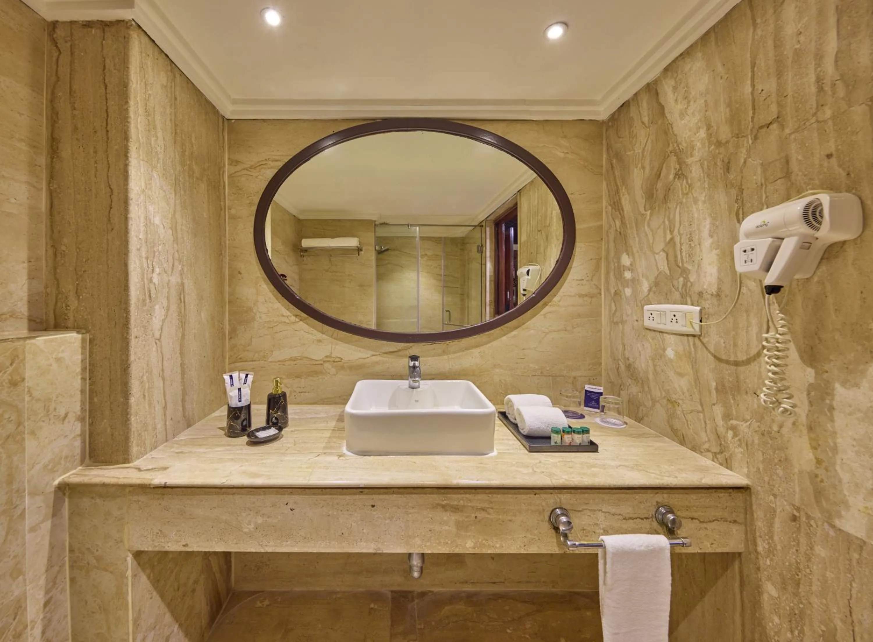 Property building in Grand Continent Premiere - T Nagar