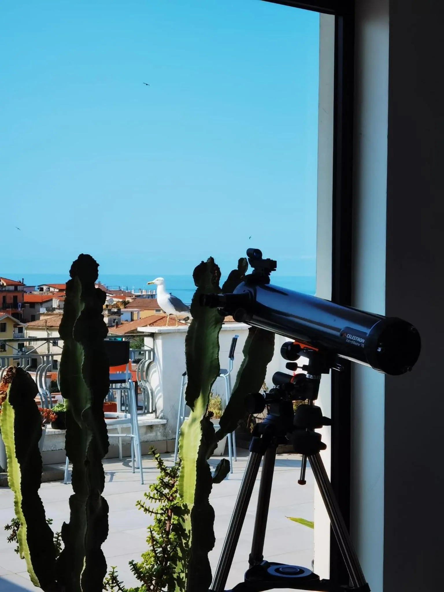 Property building in Re Merlo