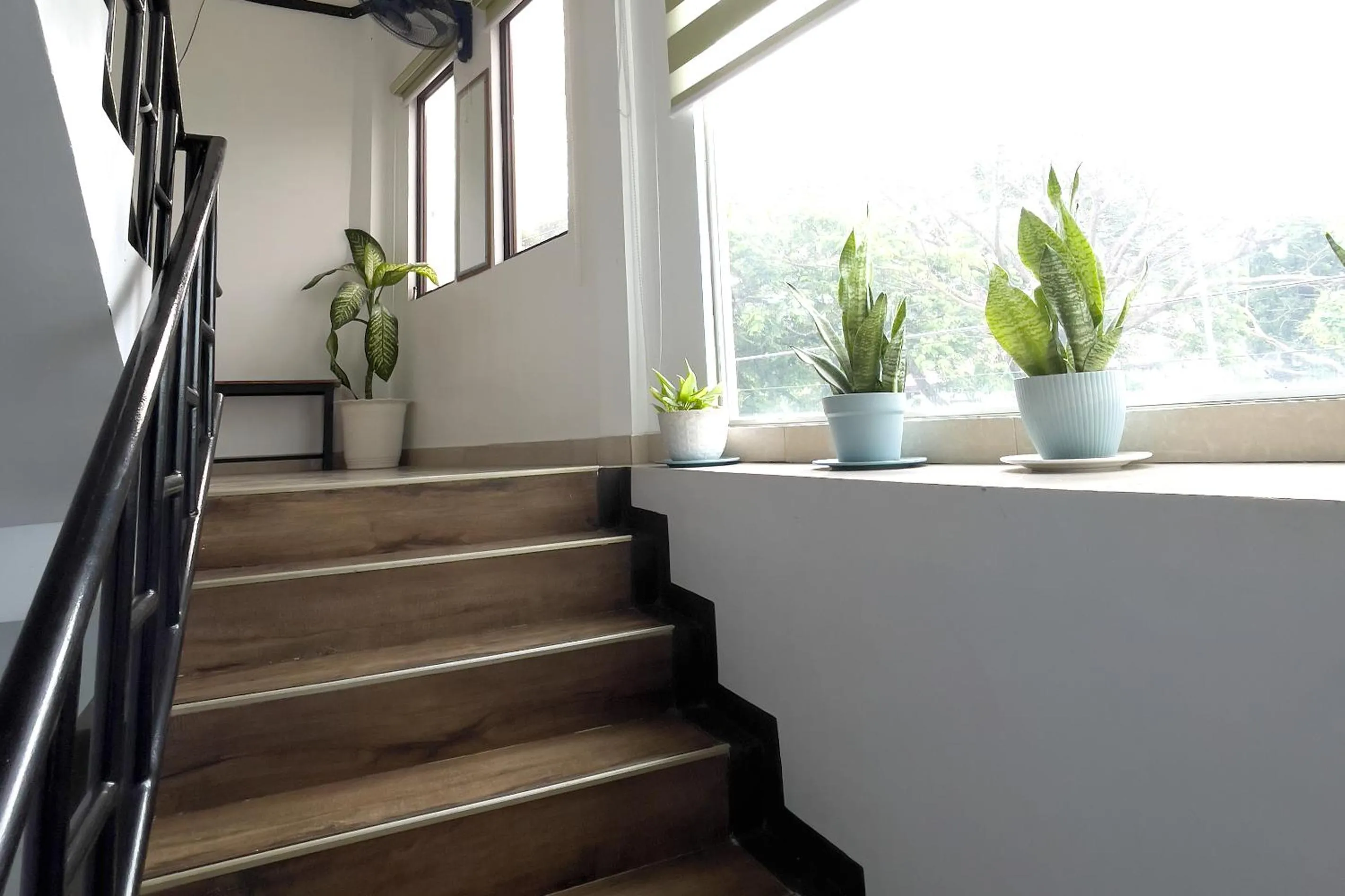 Catappa Lodge Puerto Galera