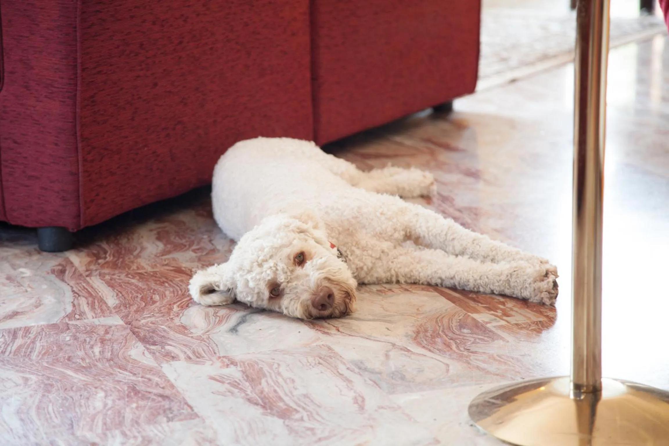 Staff in Hotel Ricordo Du Parc