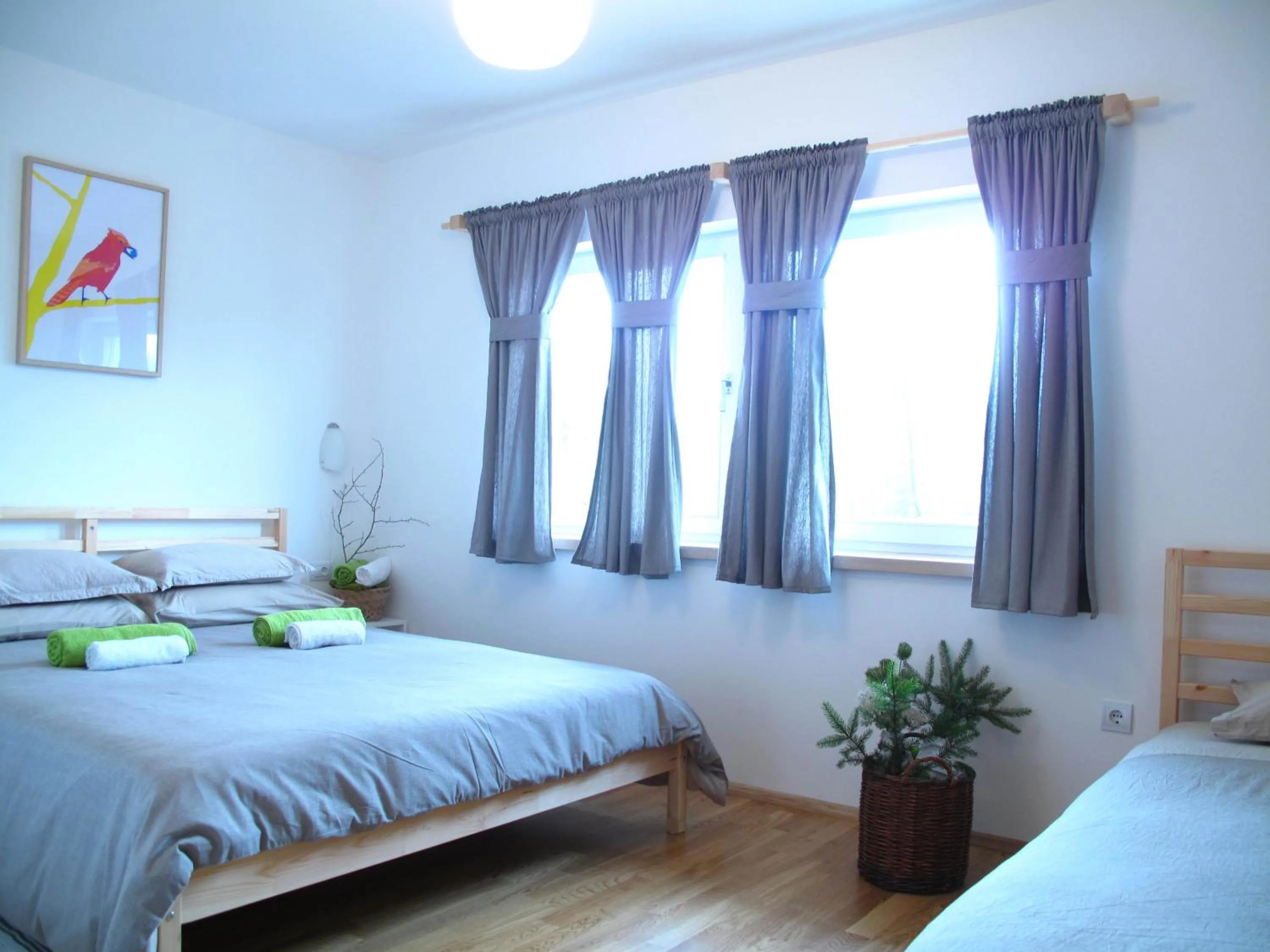 Day, Bed in Guesthouse Bor Plitvice Lakes