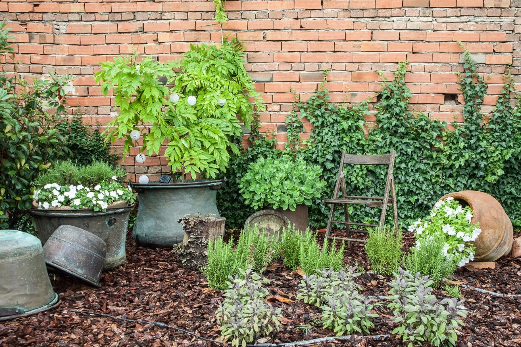 Garden in Hotel Le Vigne di Corvino