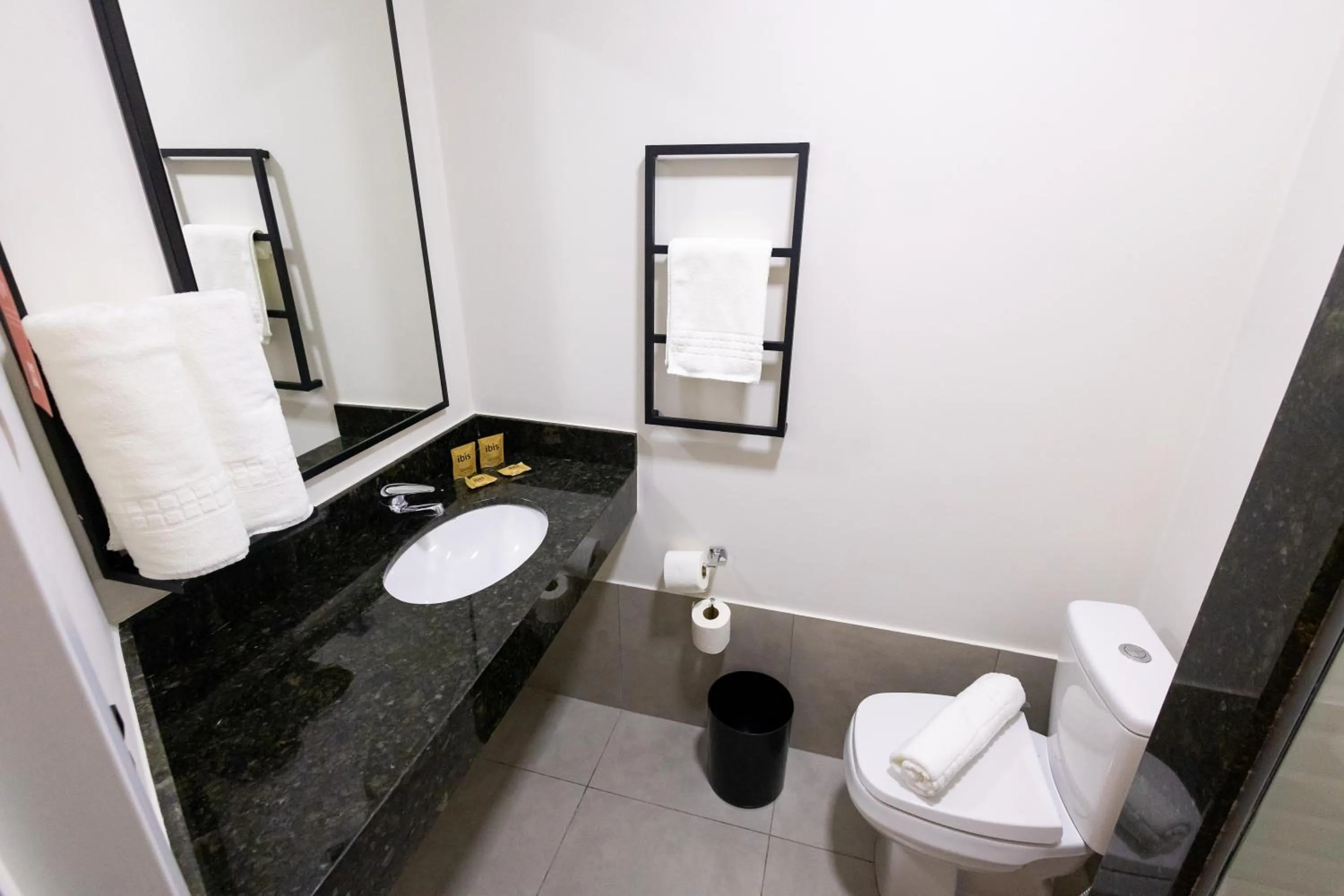 Toilet in Ibis Votuporanga