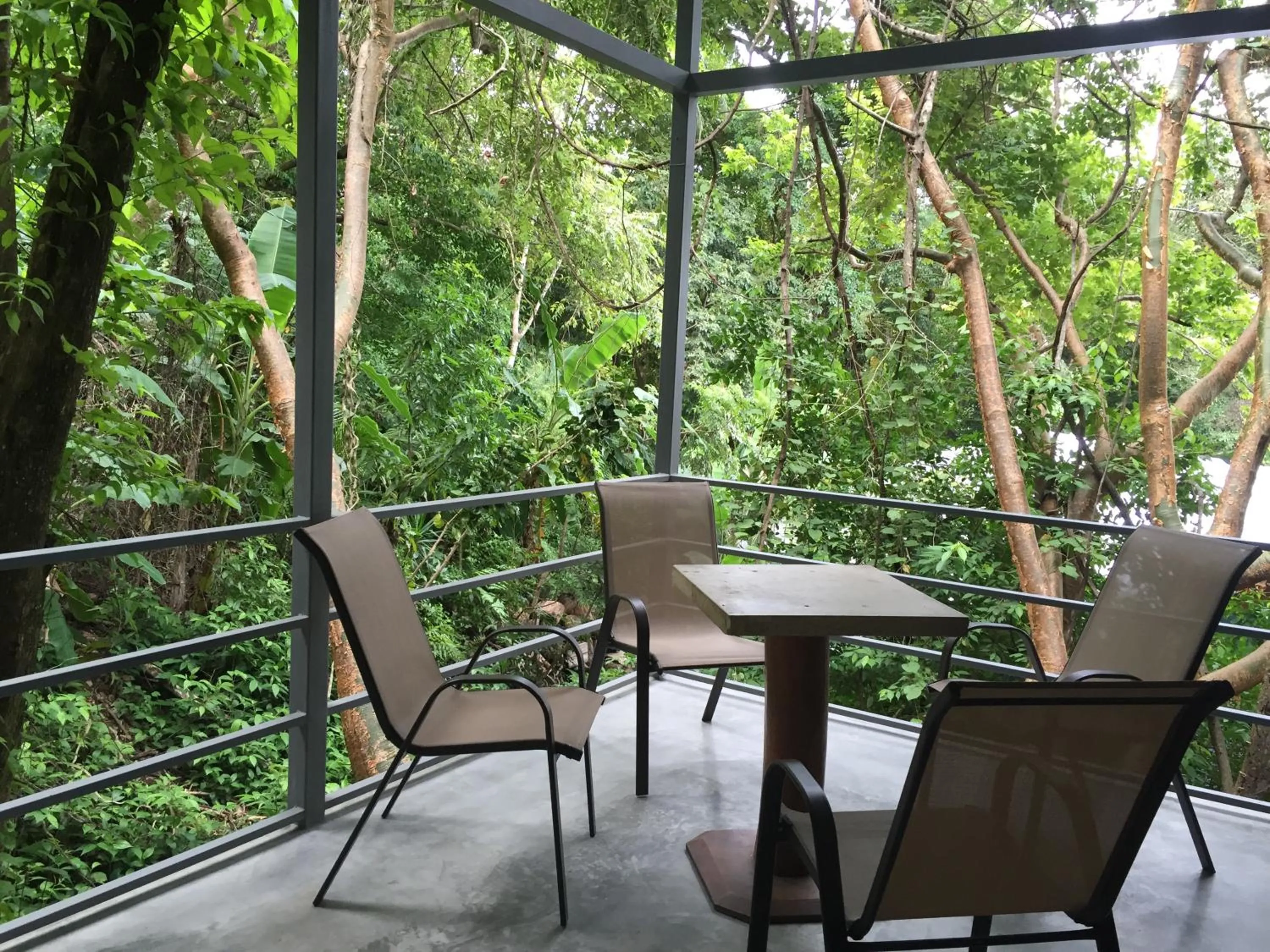 Day in Luz En El Cielo Eco-B&B/Hostel