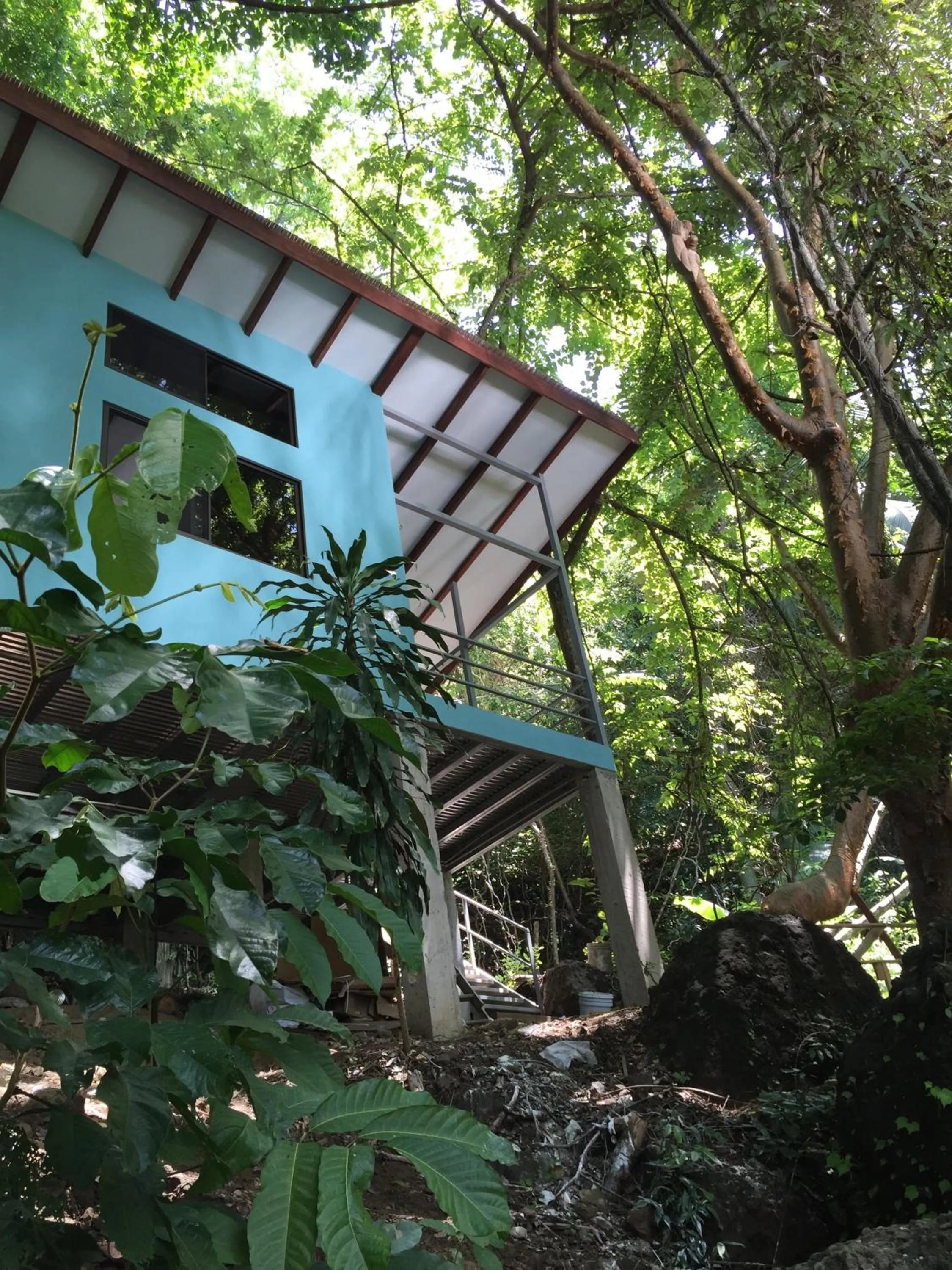 Balcony/Terrace in Luz En El Cielo Eco-B&B/Hostel