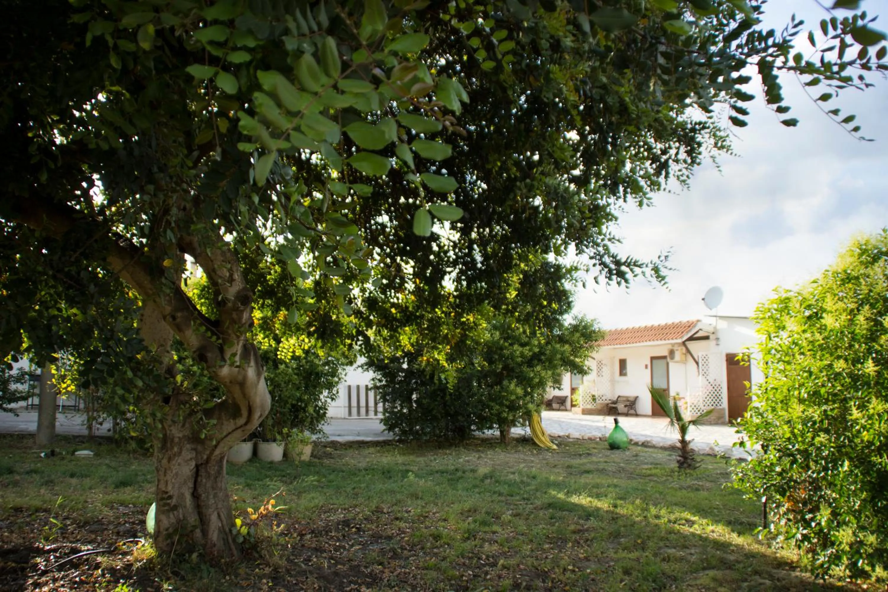 View (from property/room) in Fontana La Pietra